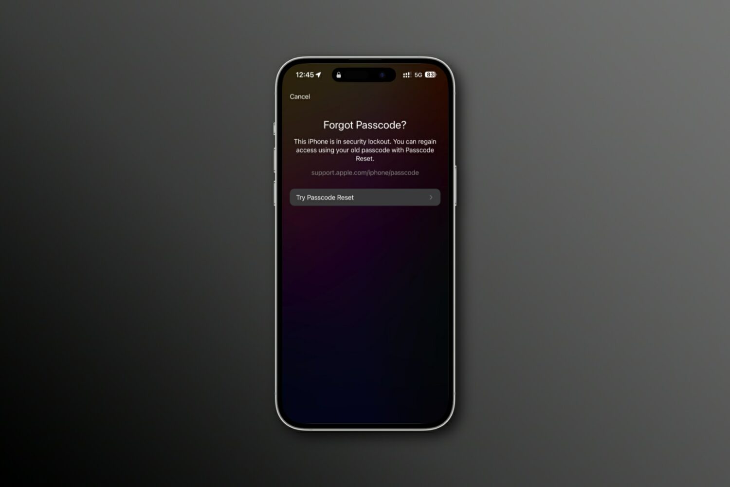 The Security Lockout screen on iPhone with the Try Passcode Reset option highlighted