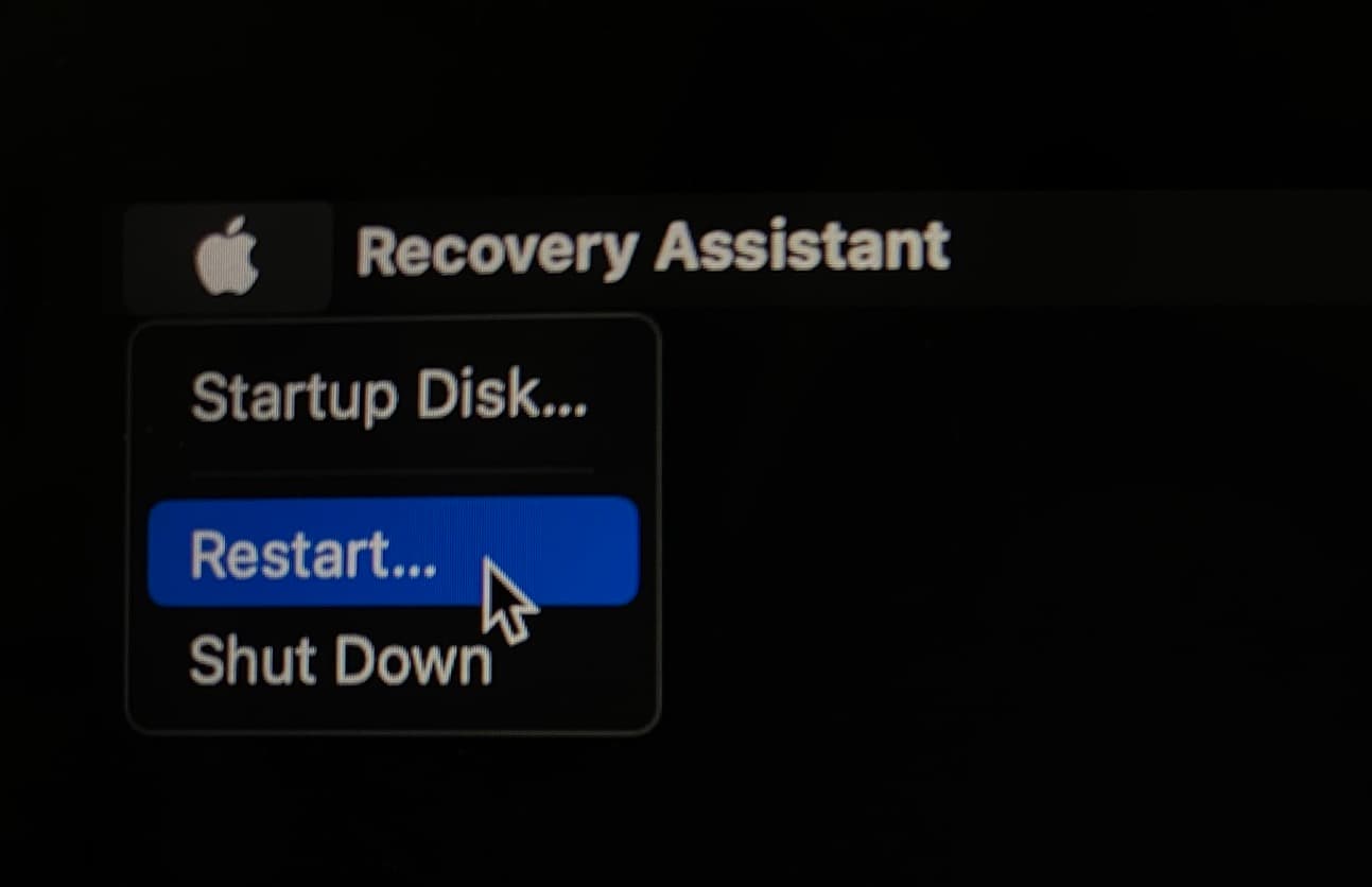 Click Apple icon when Mac is showing startup options