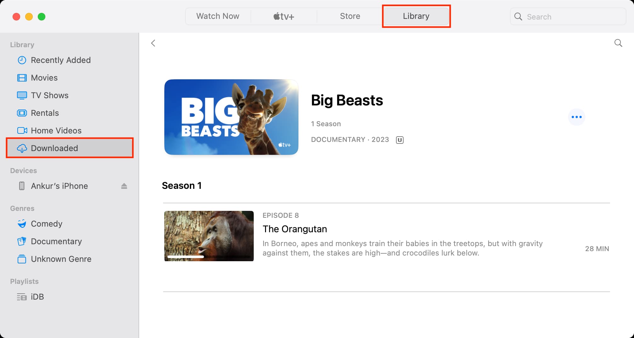 Downloaded shows in Mac TV app