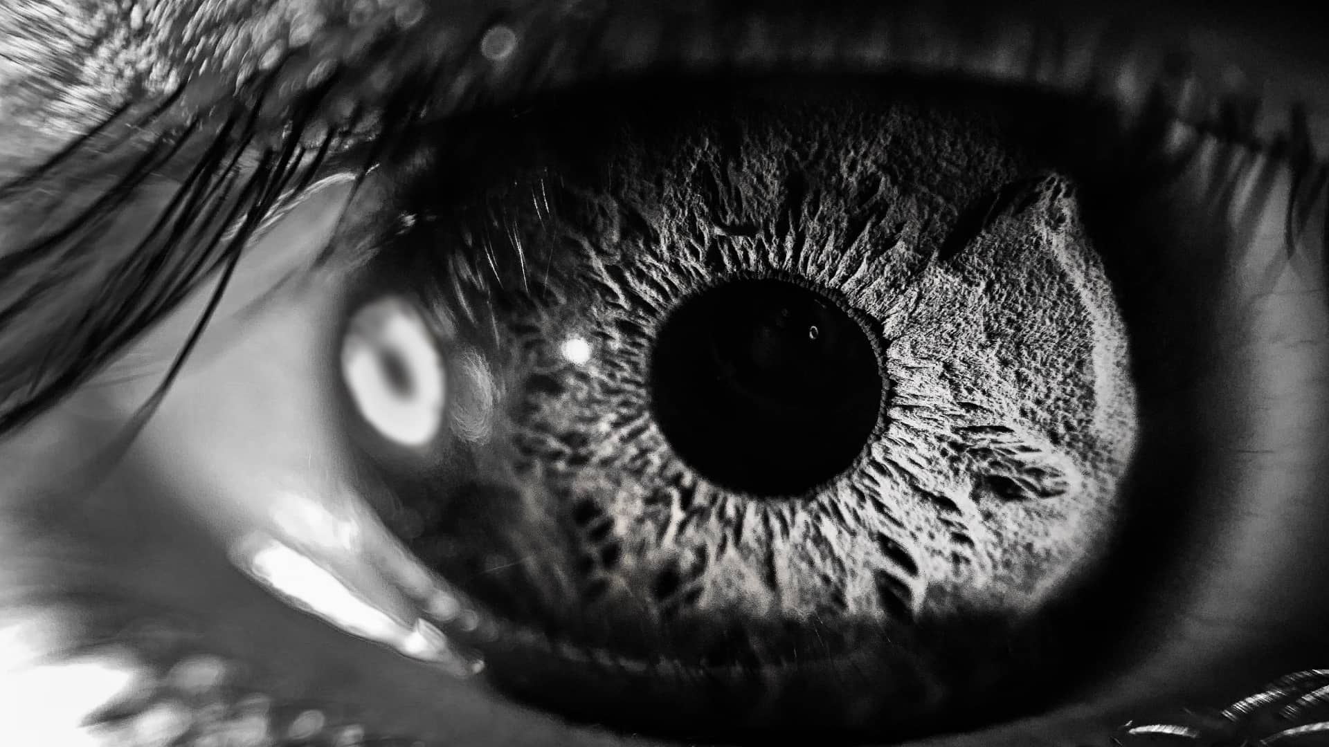 Closeup of a person's eye, focused on the iris