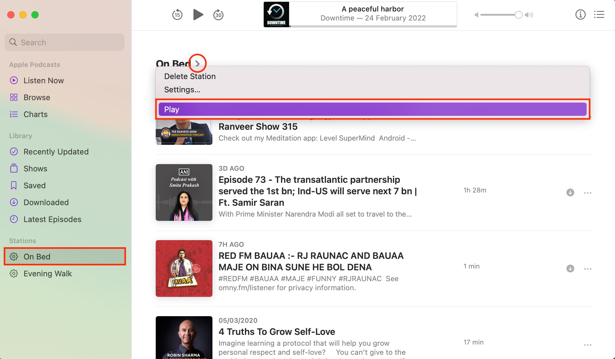 Play a podcast station on Mac