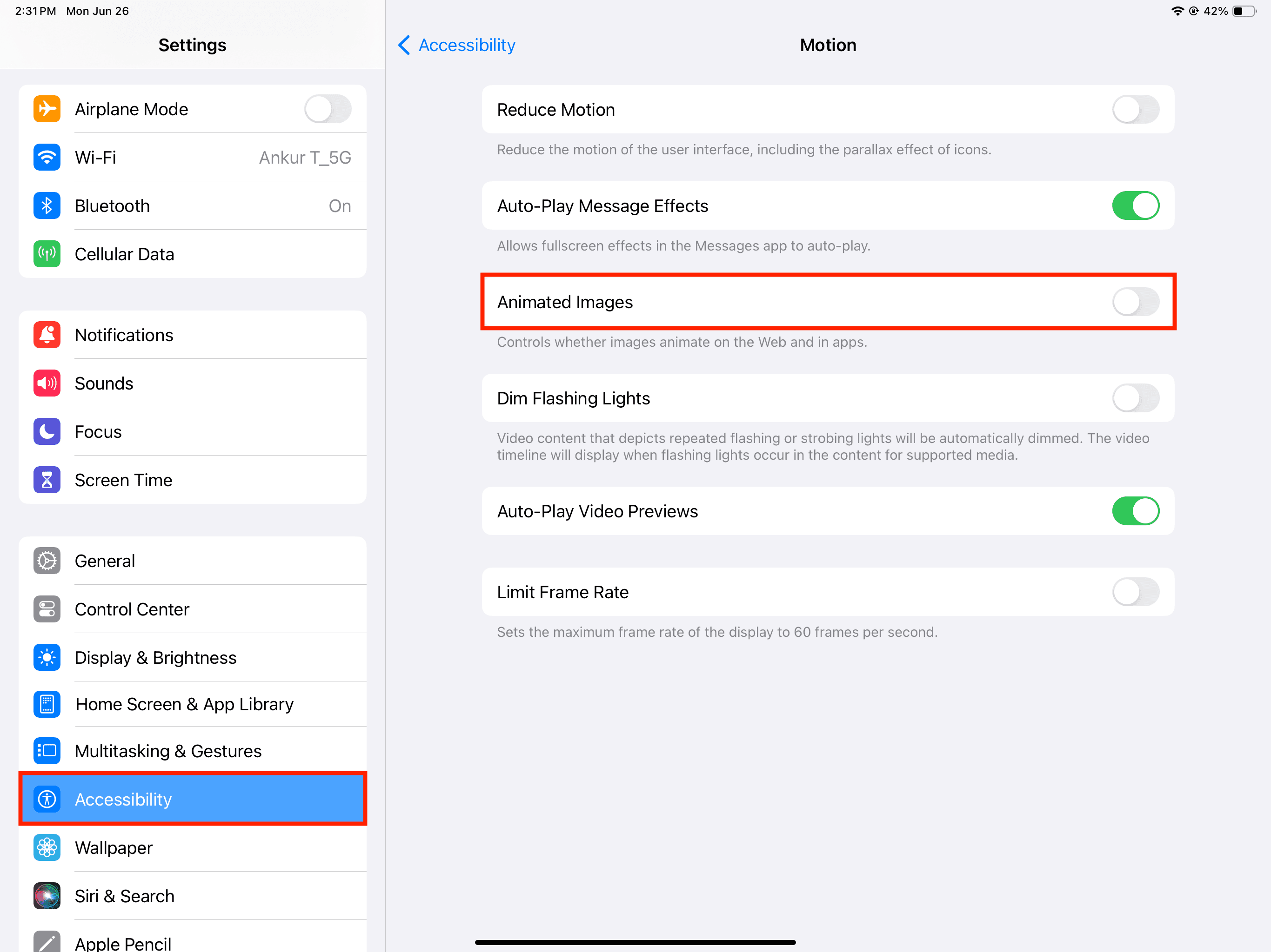Turn off Animated Images in iPad Accessibility settings