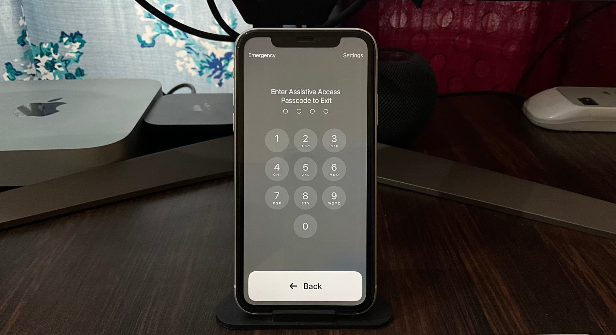 Assistive Access Passcode screen on iPhone