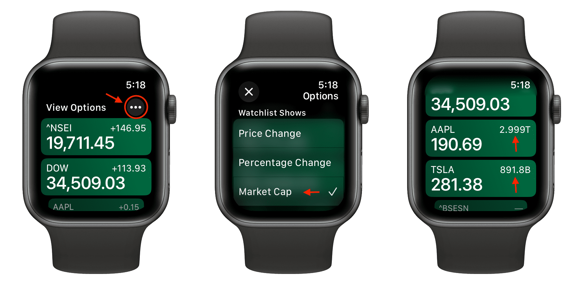 Customize Watchlist Shows in Stocks app on Apple Watch