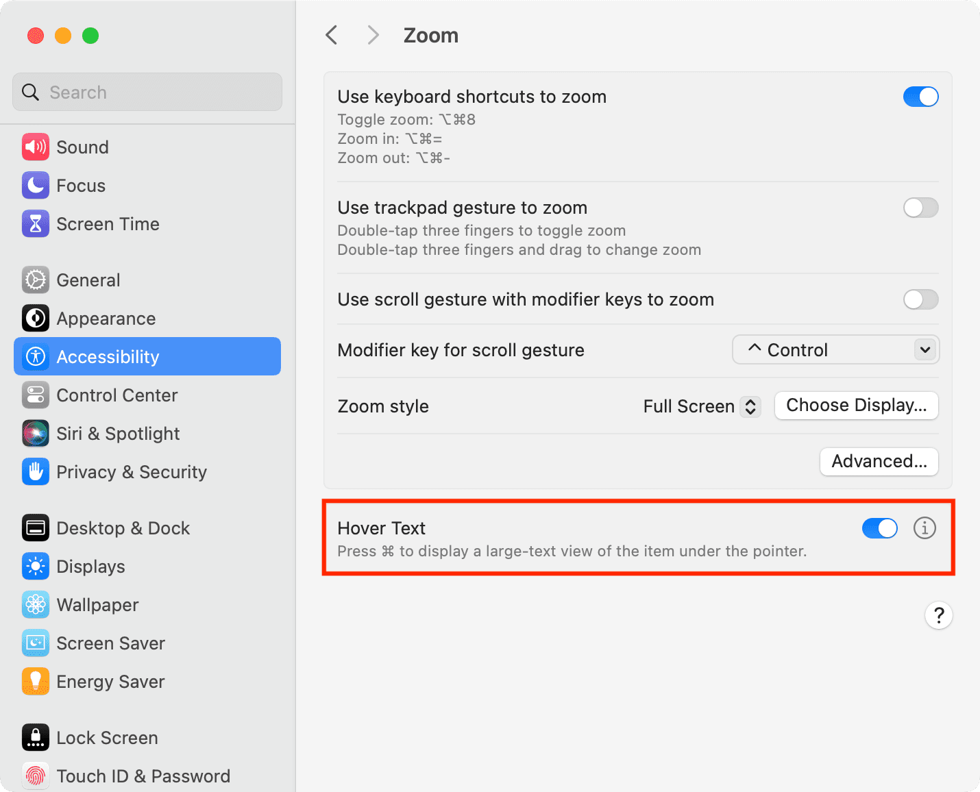 Hover Text in Zoom Accessibility settings on Mac
