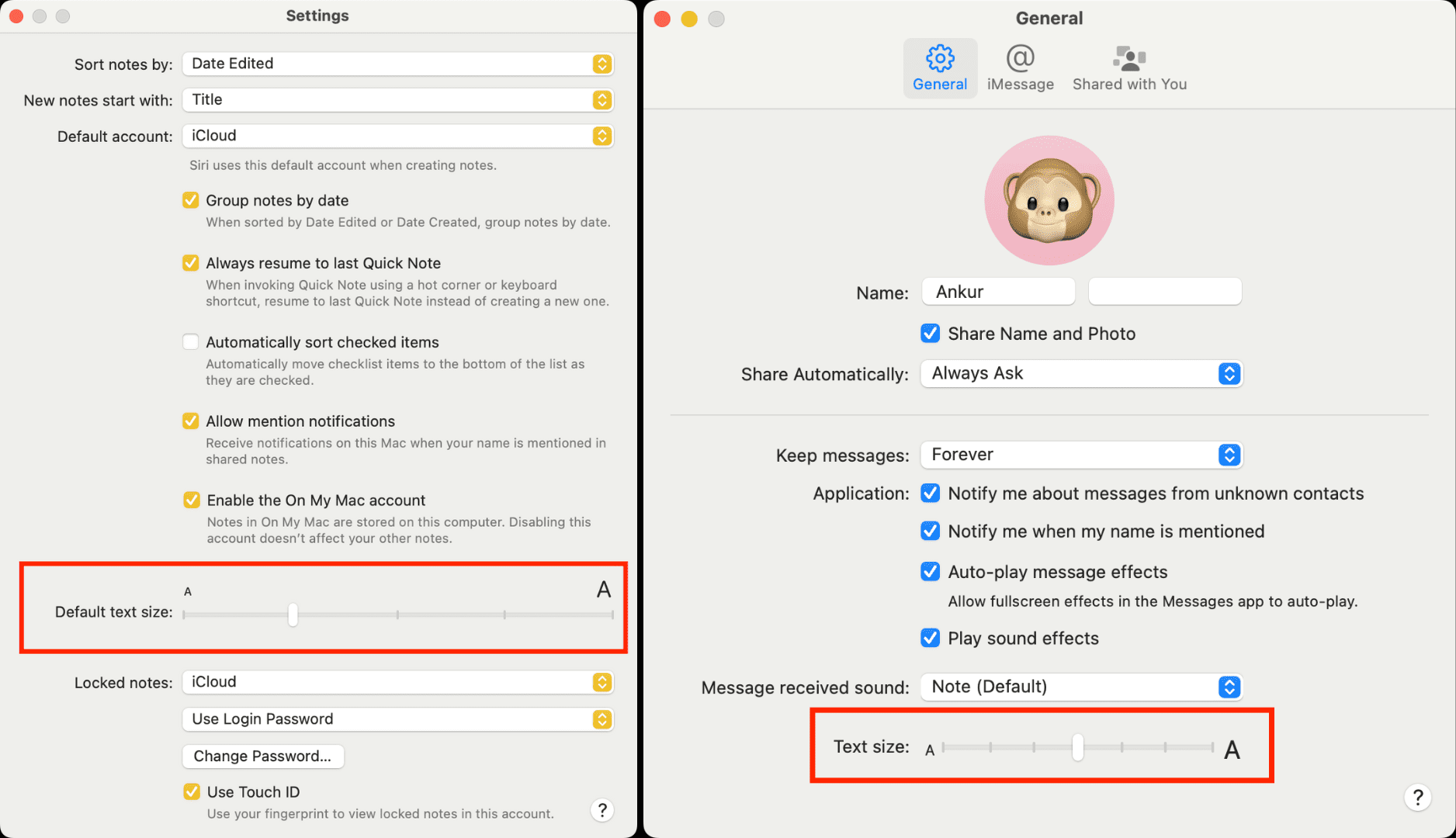 Text Size settings for Notes and Messages on Mac