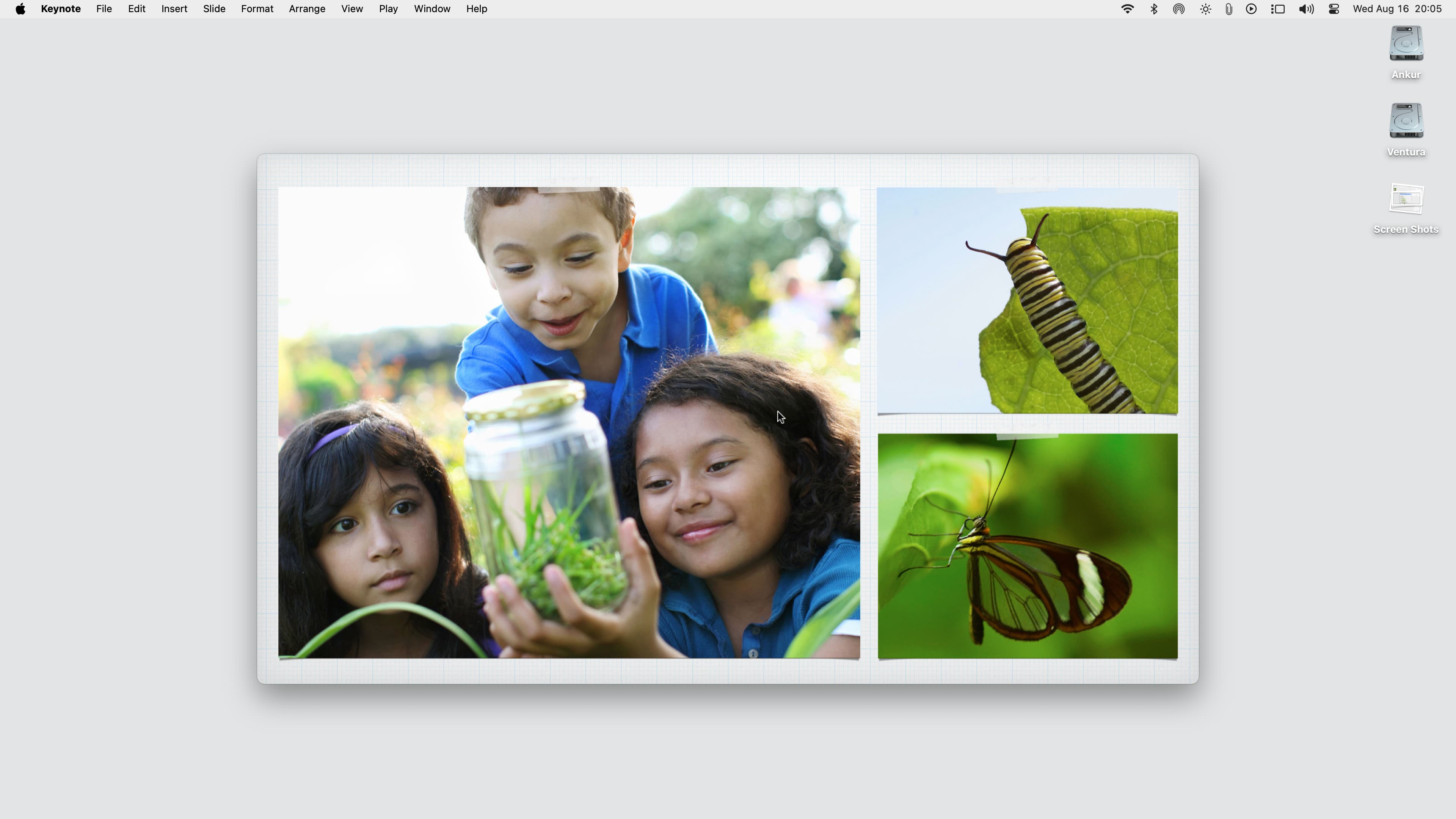 Keynote slideshow playing in window on Mac