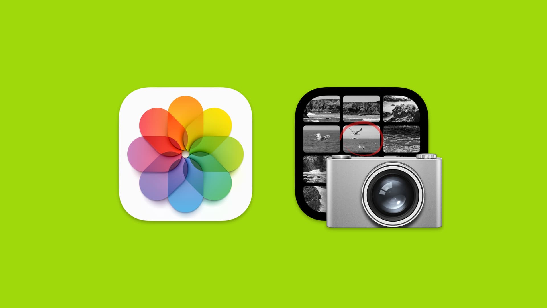 iphone camera roll icon