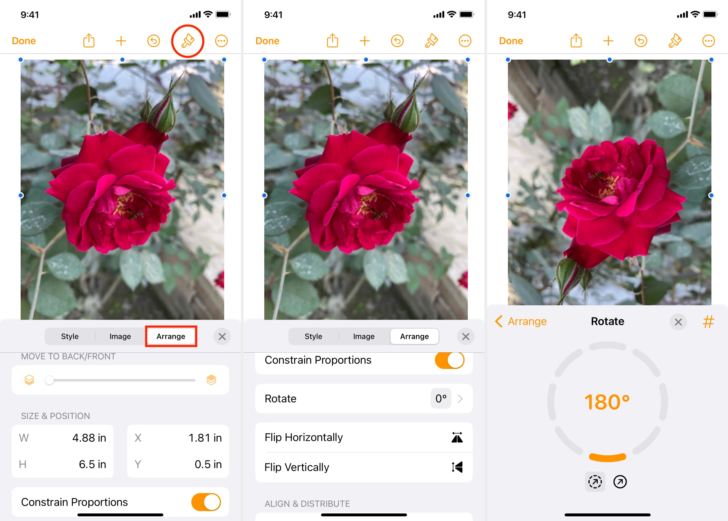 Resize, rotate, and flip objects in Pages on iPhone