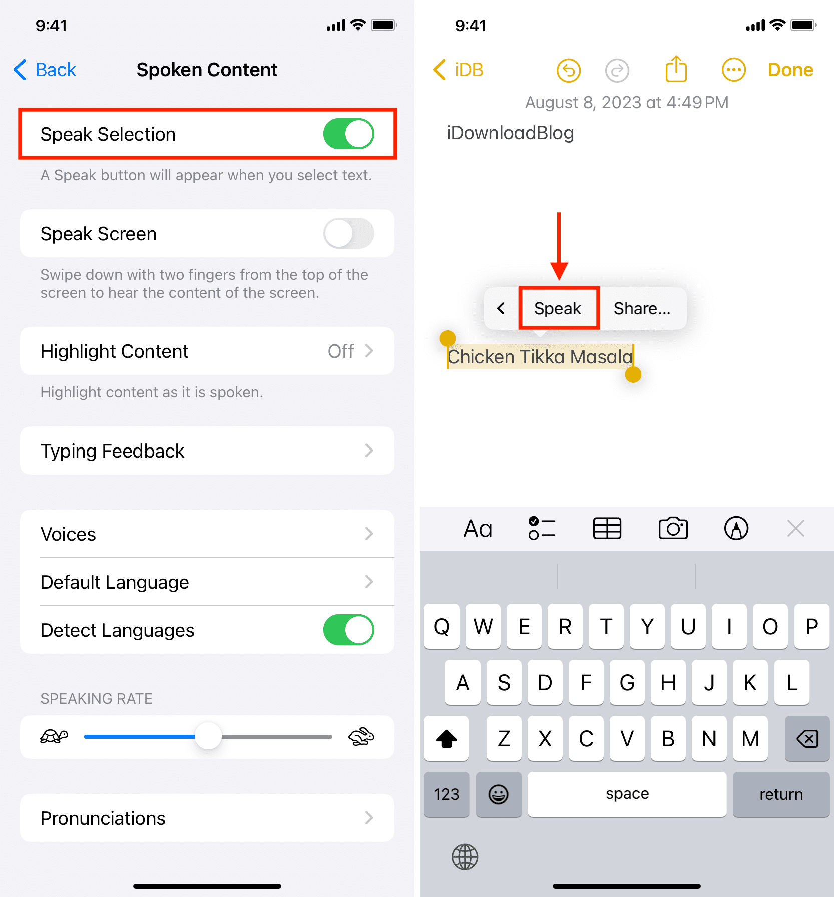 Using Speak Selection on iPhone to turn text into speech