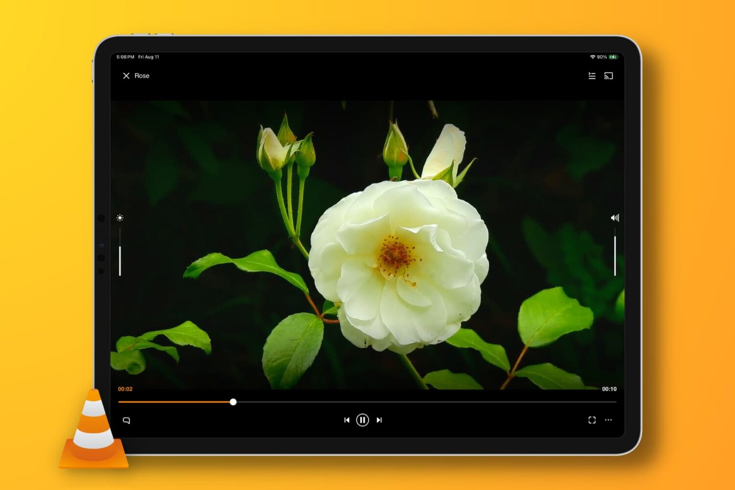 VLC Media Player on iPad