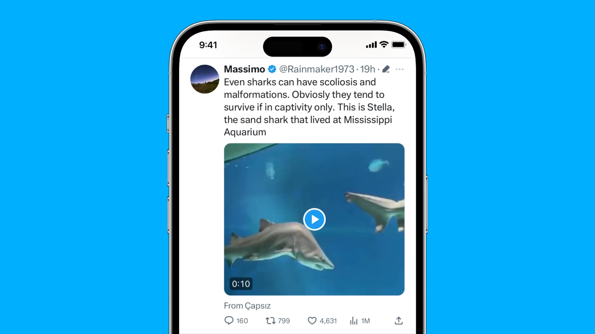 Video on Twitter timeline on iPhone