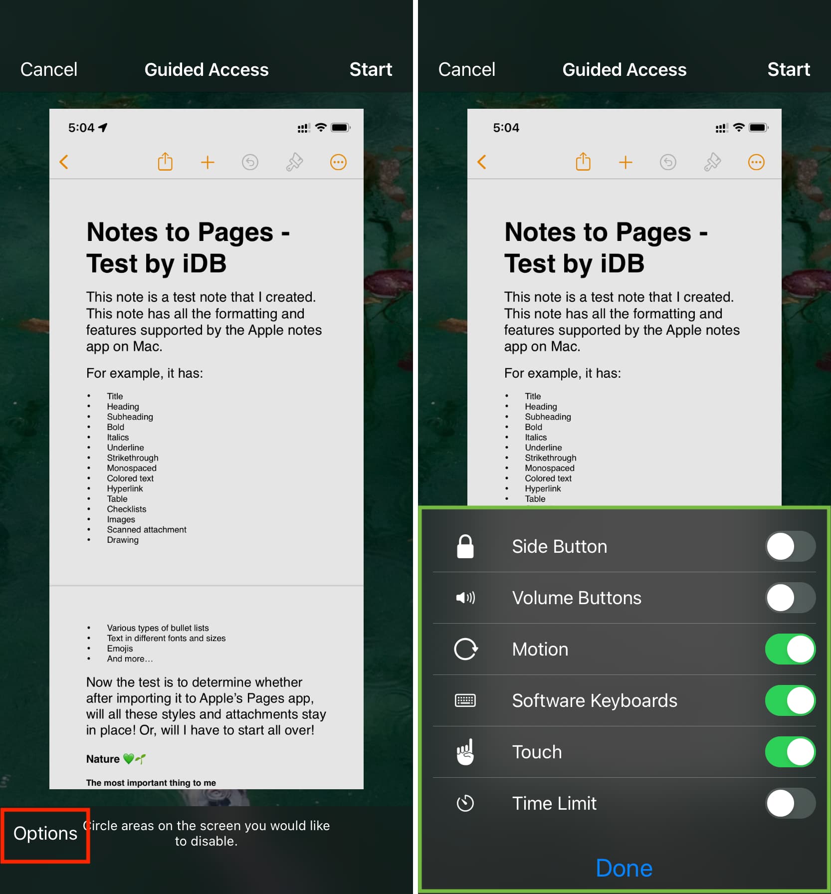 Adjust Guided Access Options on iPhone