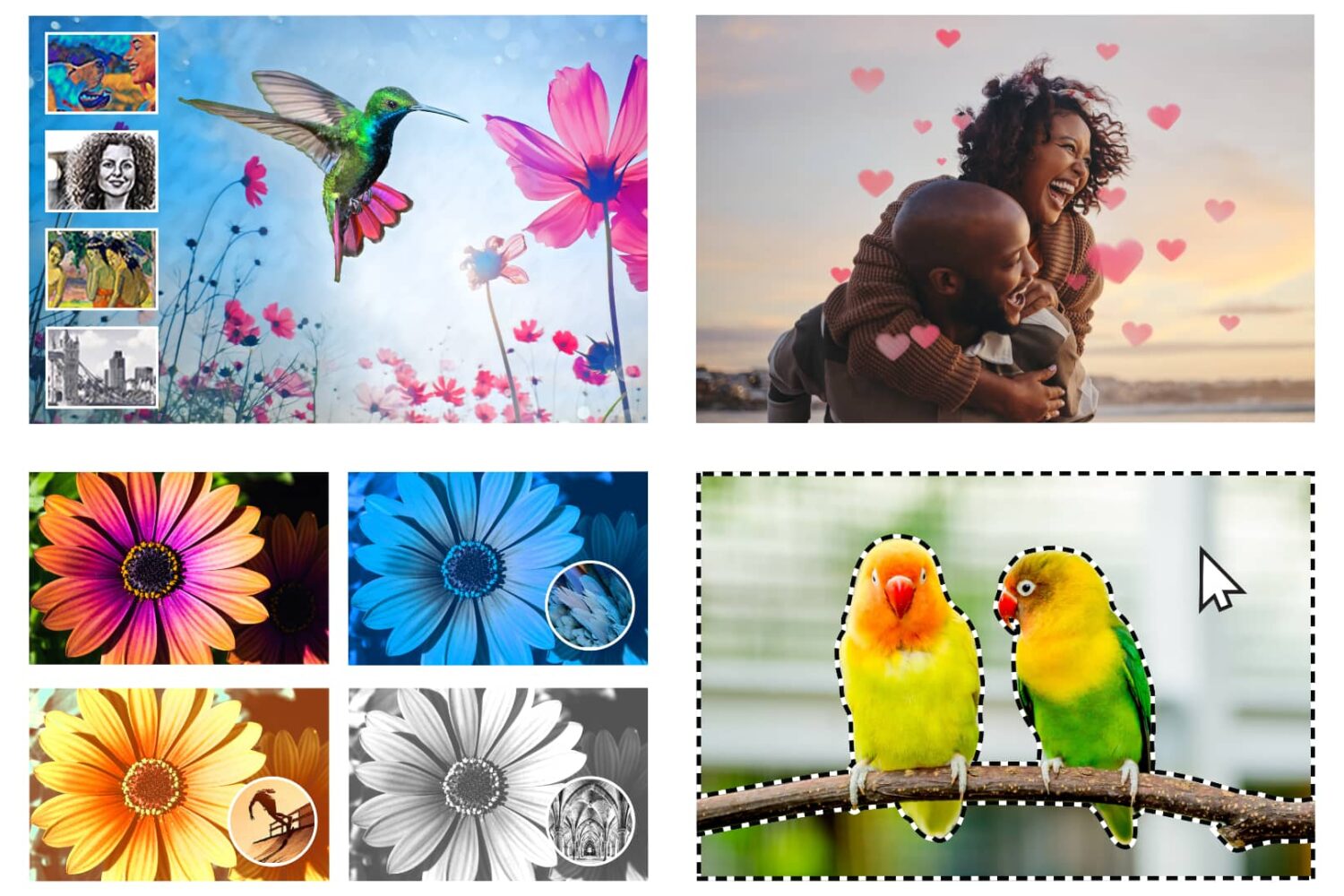 Collage of four images showcasing AI-powered artistic effects, pattern brushes, one-click object selection and the color match feature in Adobe Photoshop and Premiere Elements 2024