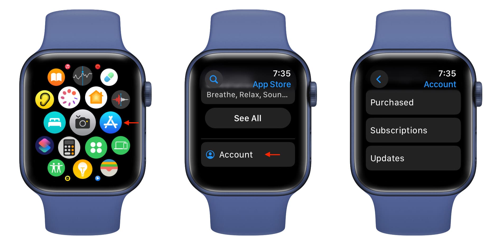 Account, Subscriptions, and Updates in Apple Watch App Store