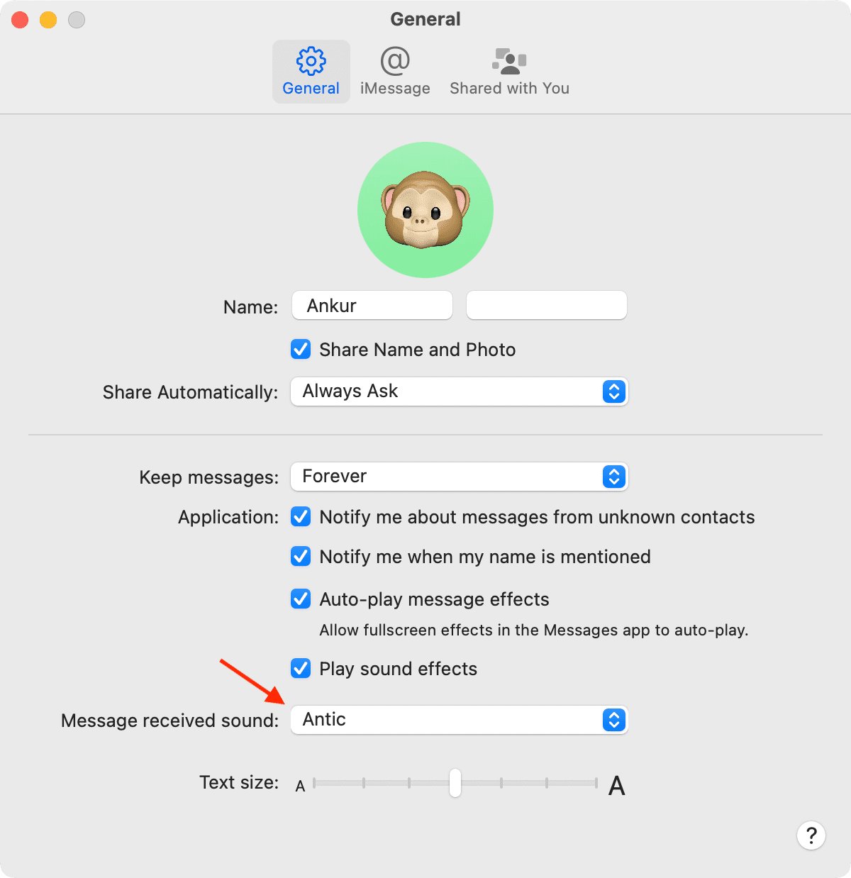 Message sound setting for Mac