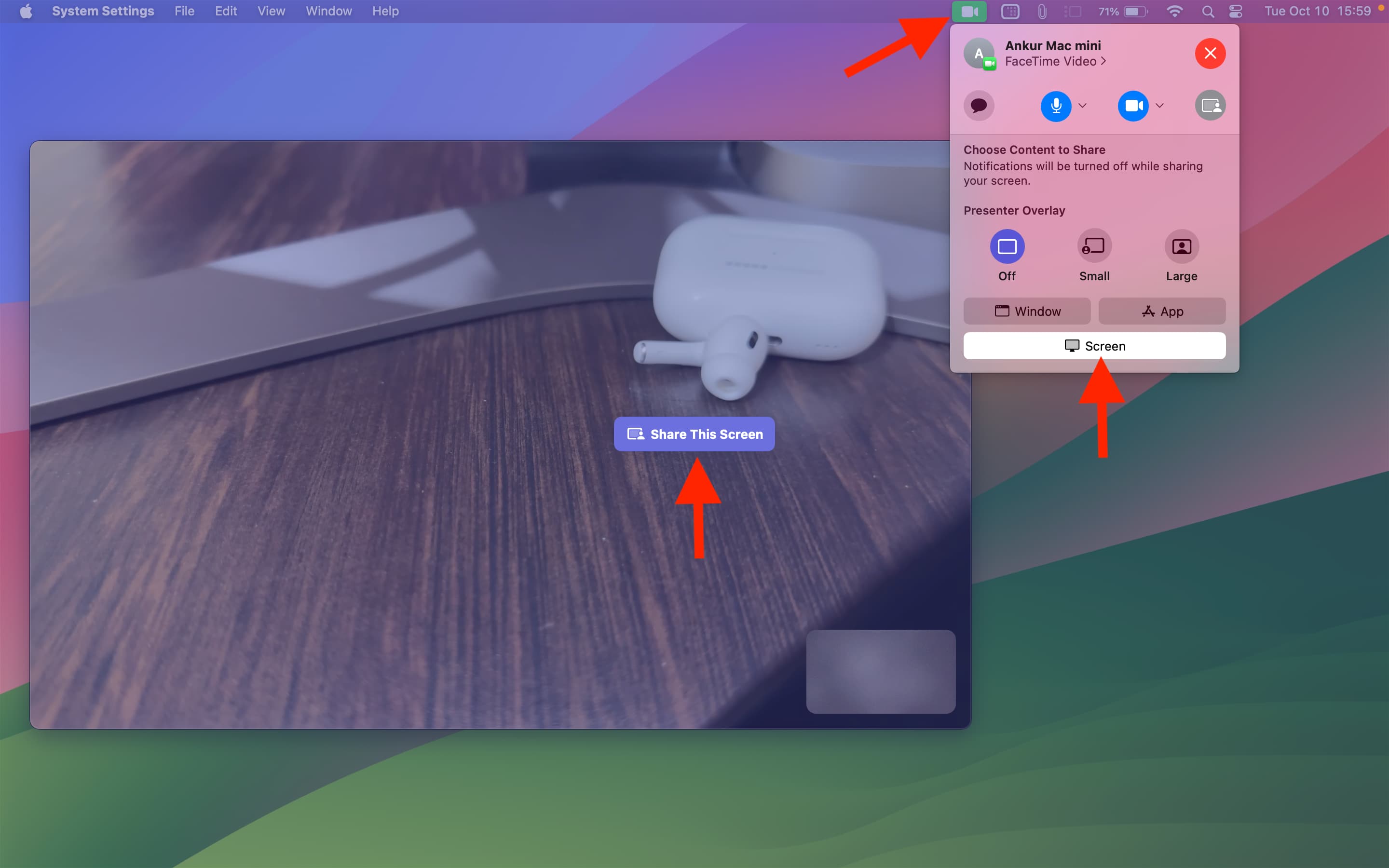 Share your full screen during FaceTime call on Mac
