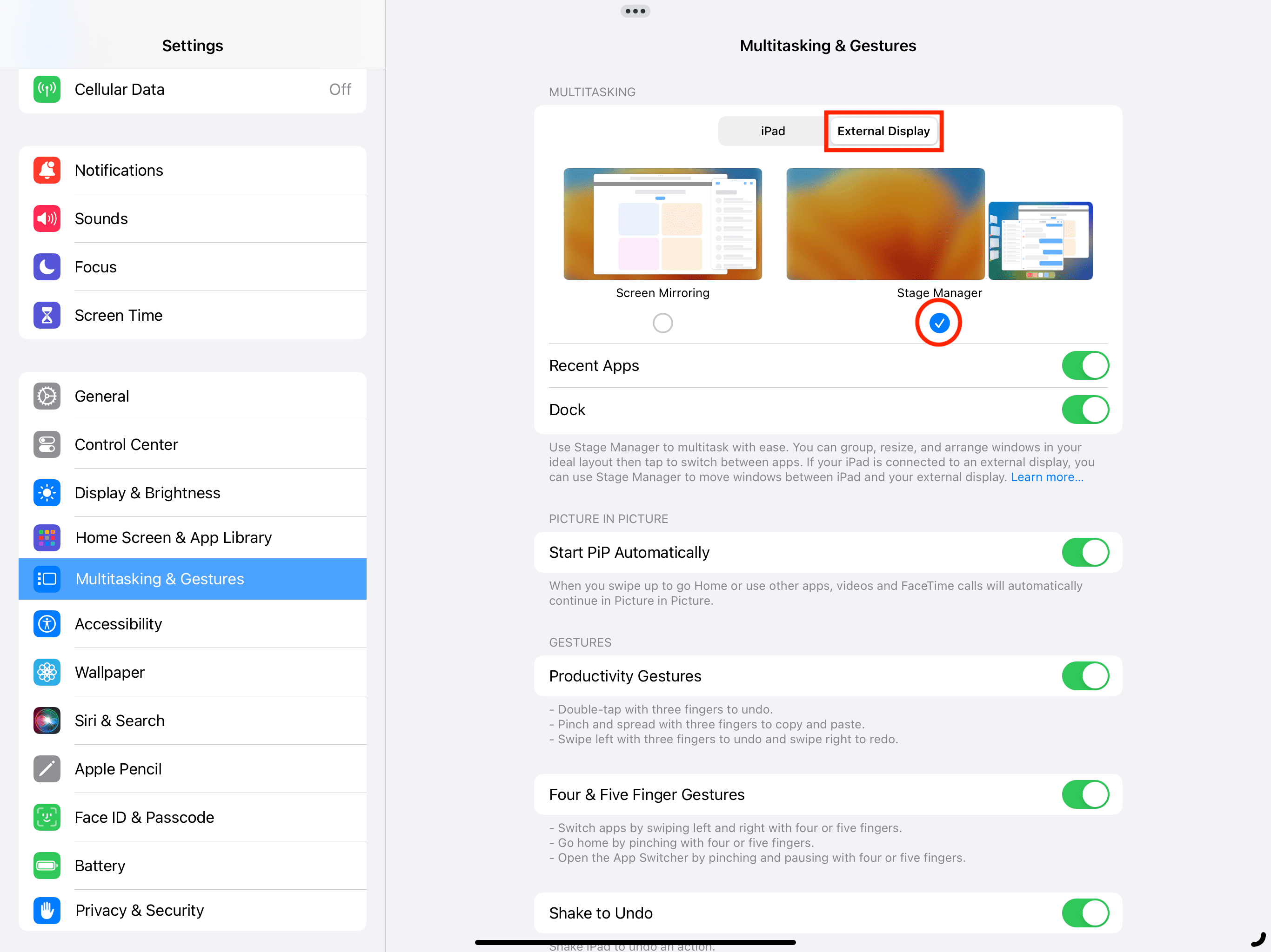 Stage Manager in External Display tab in iPad Settings