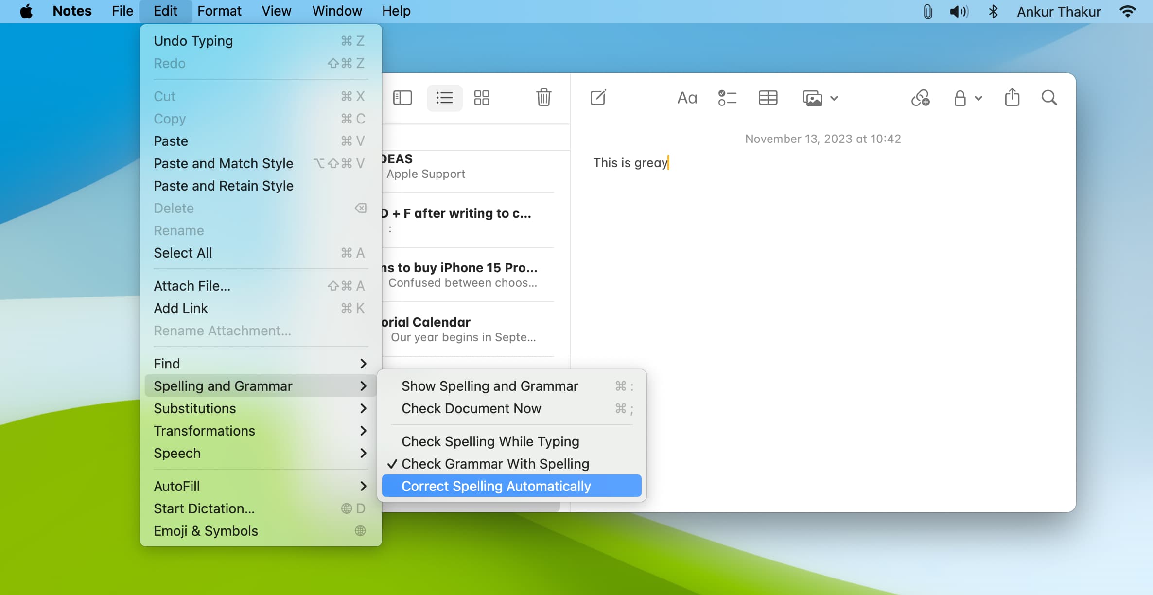 Auto-correct turned off for Notes app on Mac
