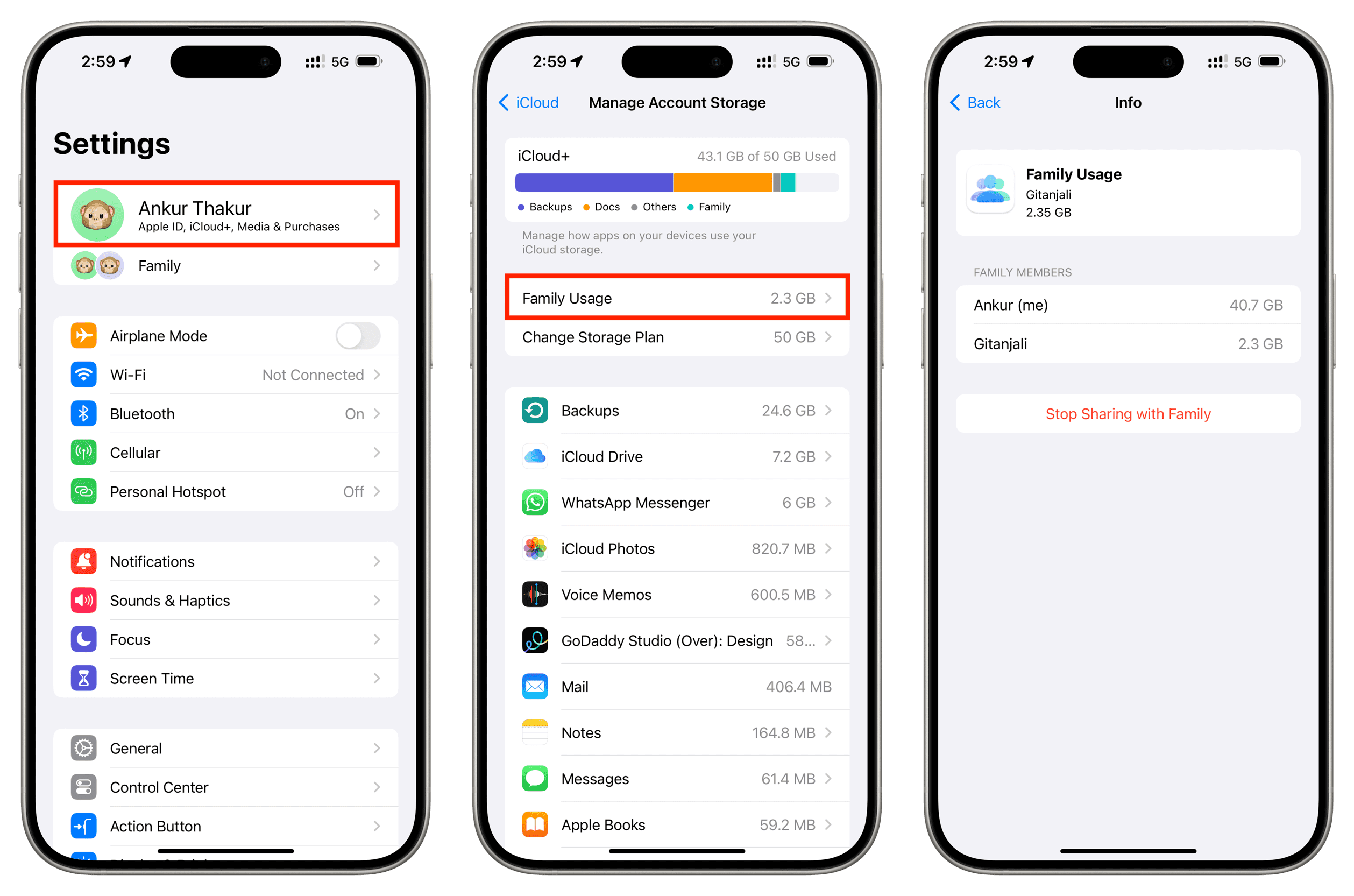 See Family Usage for shared iCloud storage in iPhone Settings