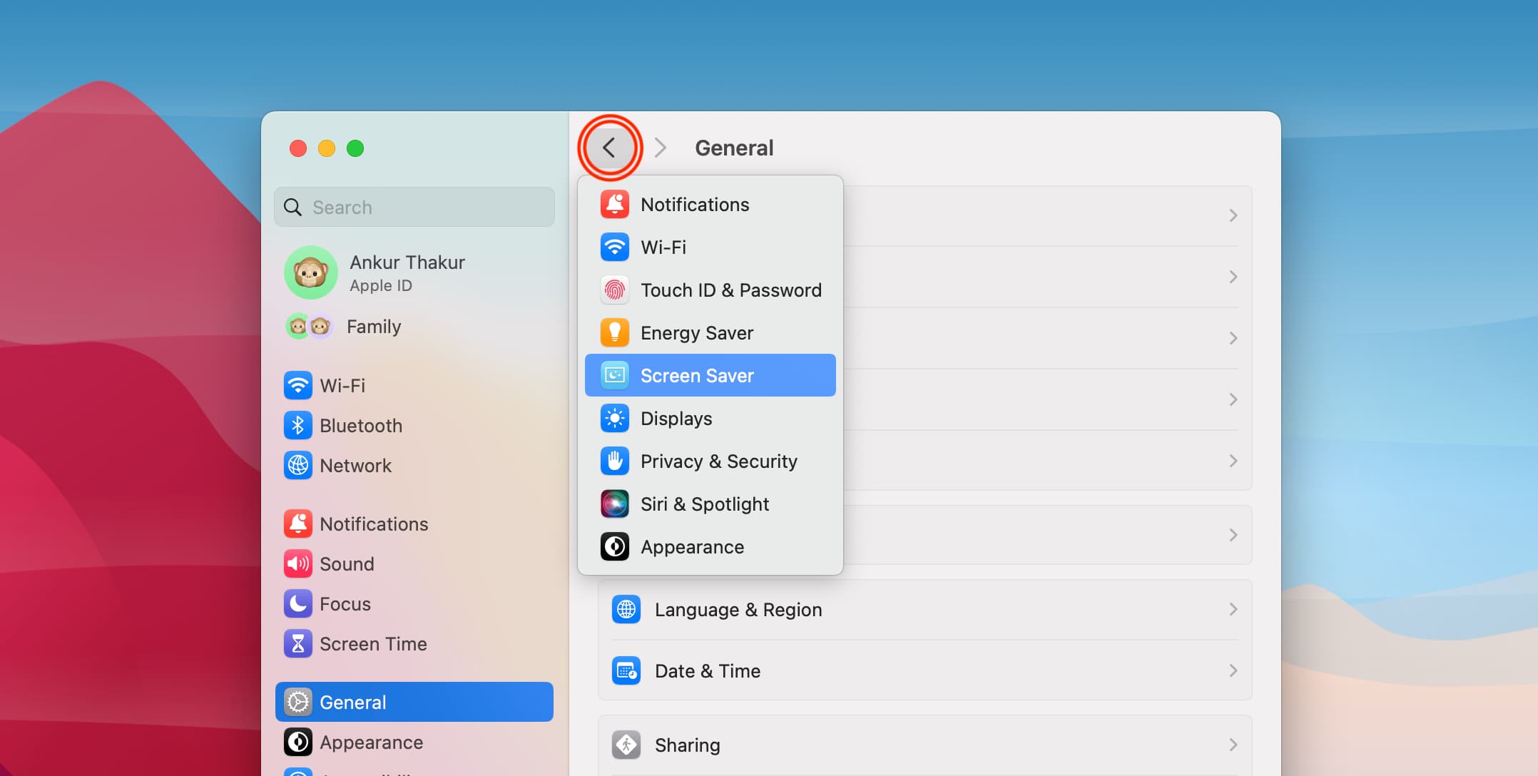 See recently visited settings in Mac System Settings