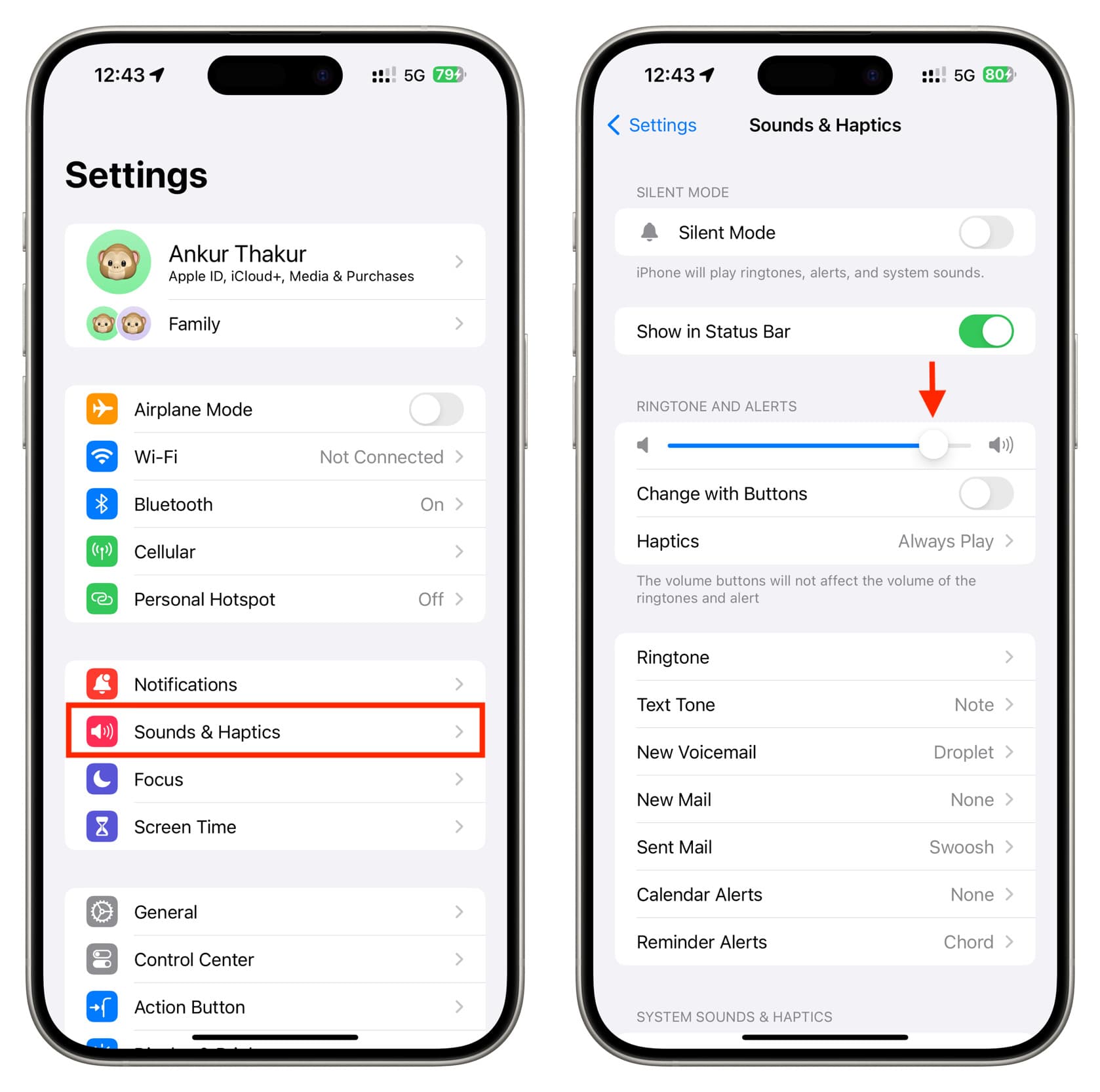 Sounds and Haptics settings on iPhone