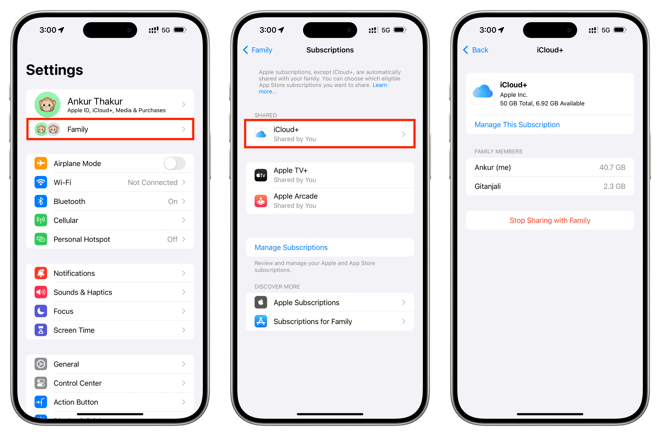 Tap Family, Subscriptions, iCloud Plus in iPhone Settings to see details about shared iCloud storage