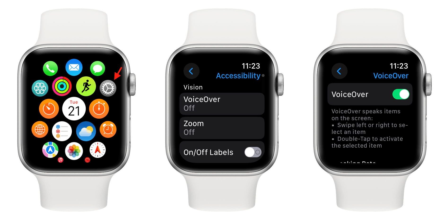 Turn on VoiceOver on Apple Watch