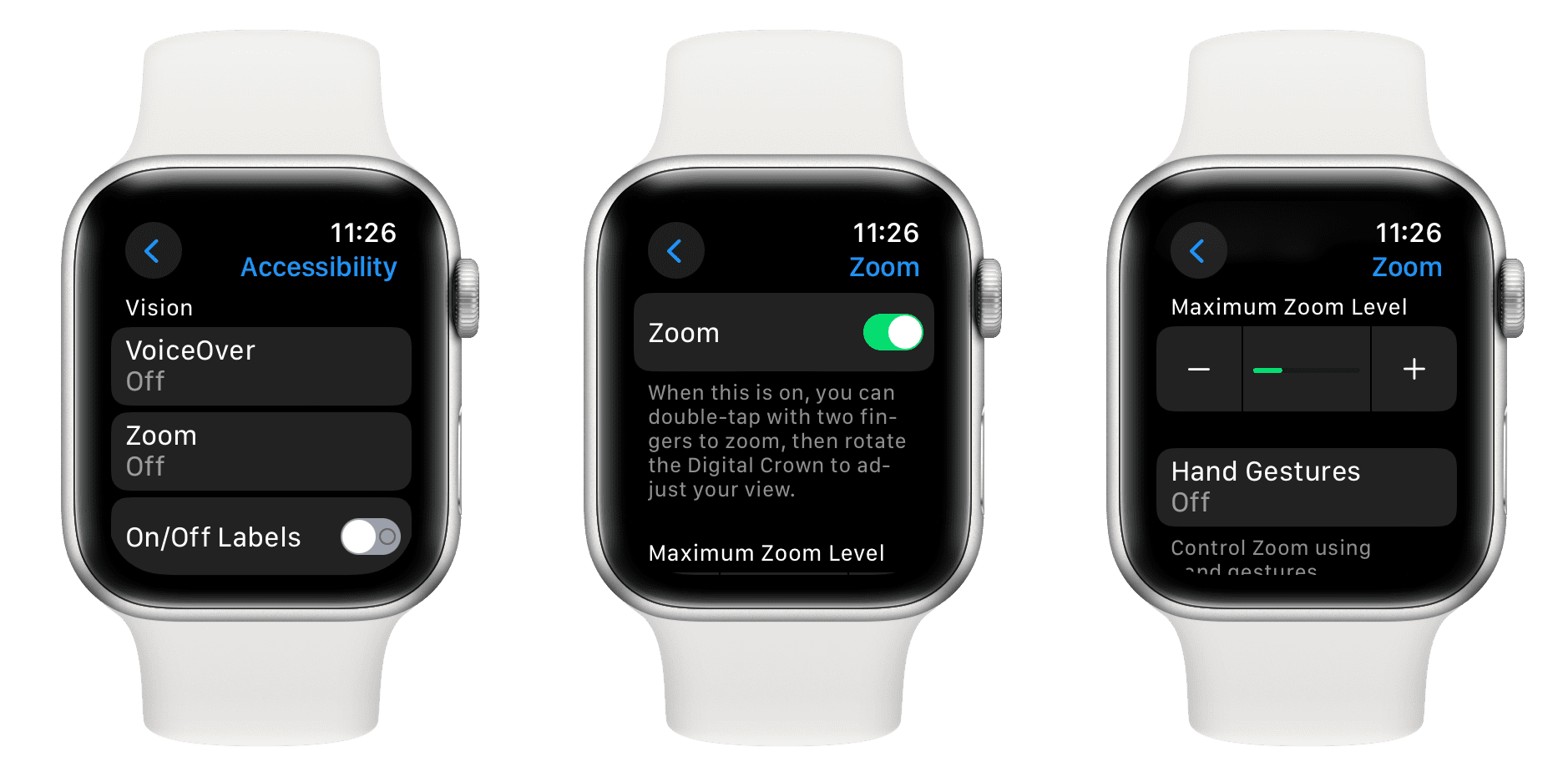 Turn on Zoom accessibility settings on Apple Watch