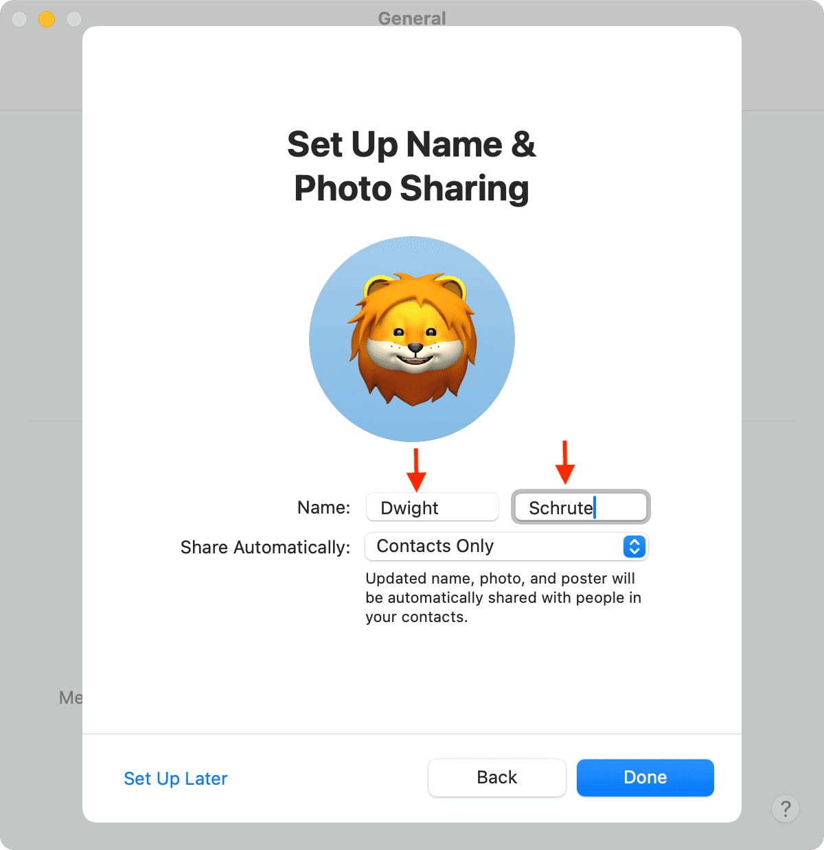 Pick a name and adjust visibility settings for iMessage profile on Mac