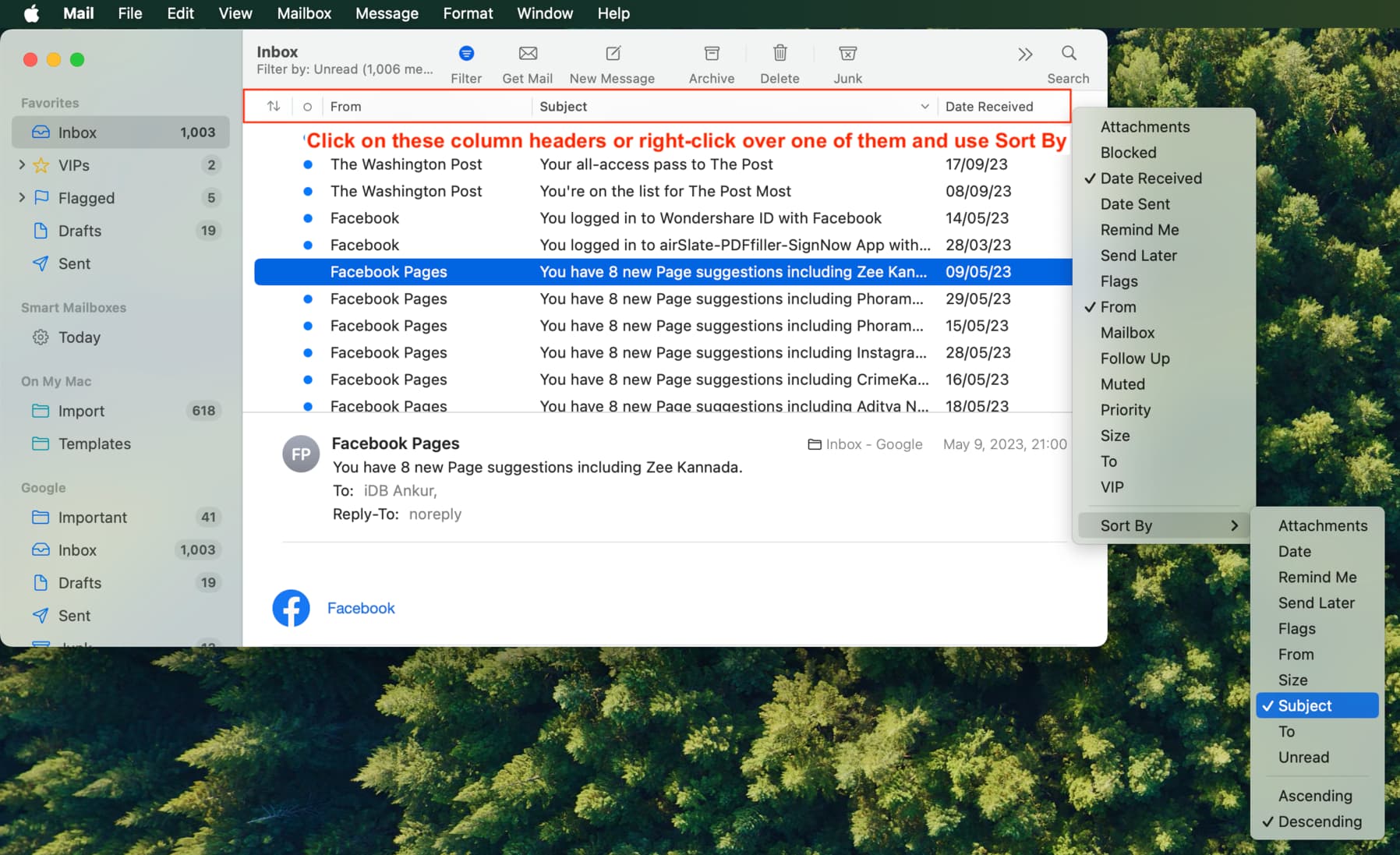 Sort by option when using column layout in Mail app on Mac