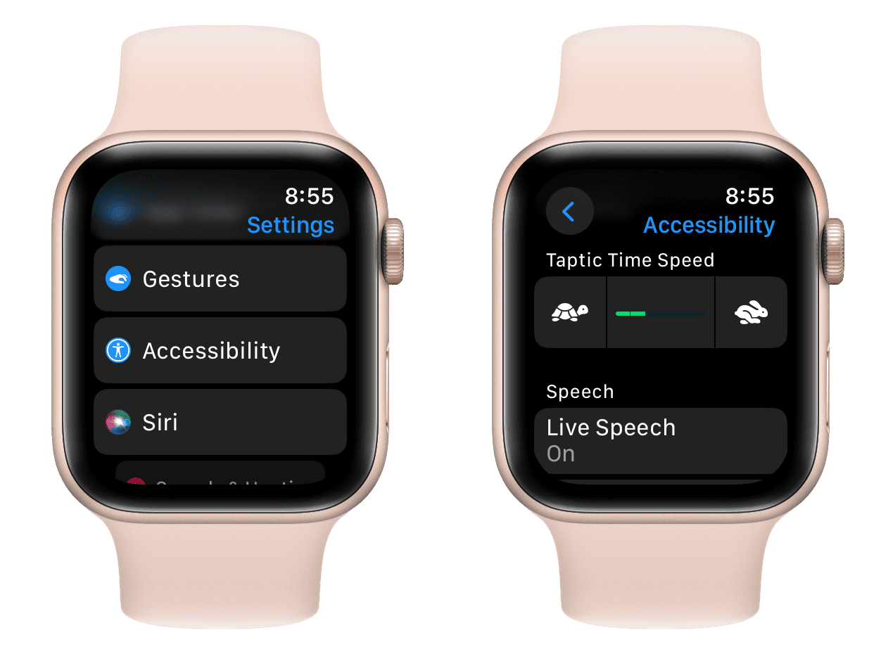 Taptic Time Speed in Apple Watch Accessibility settings