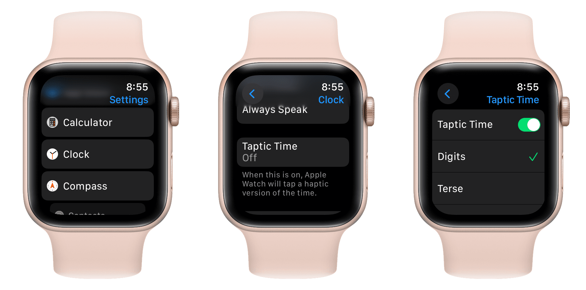 Taptic Time in Clock settings on Apple Watch