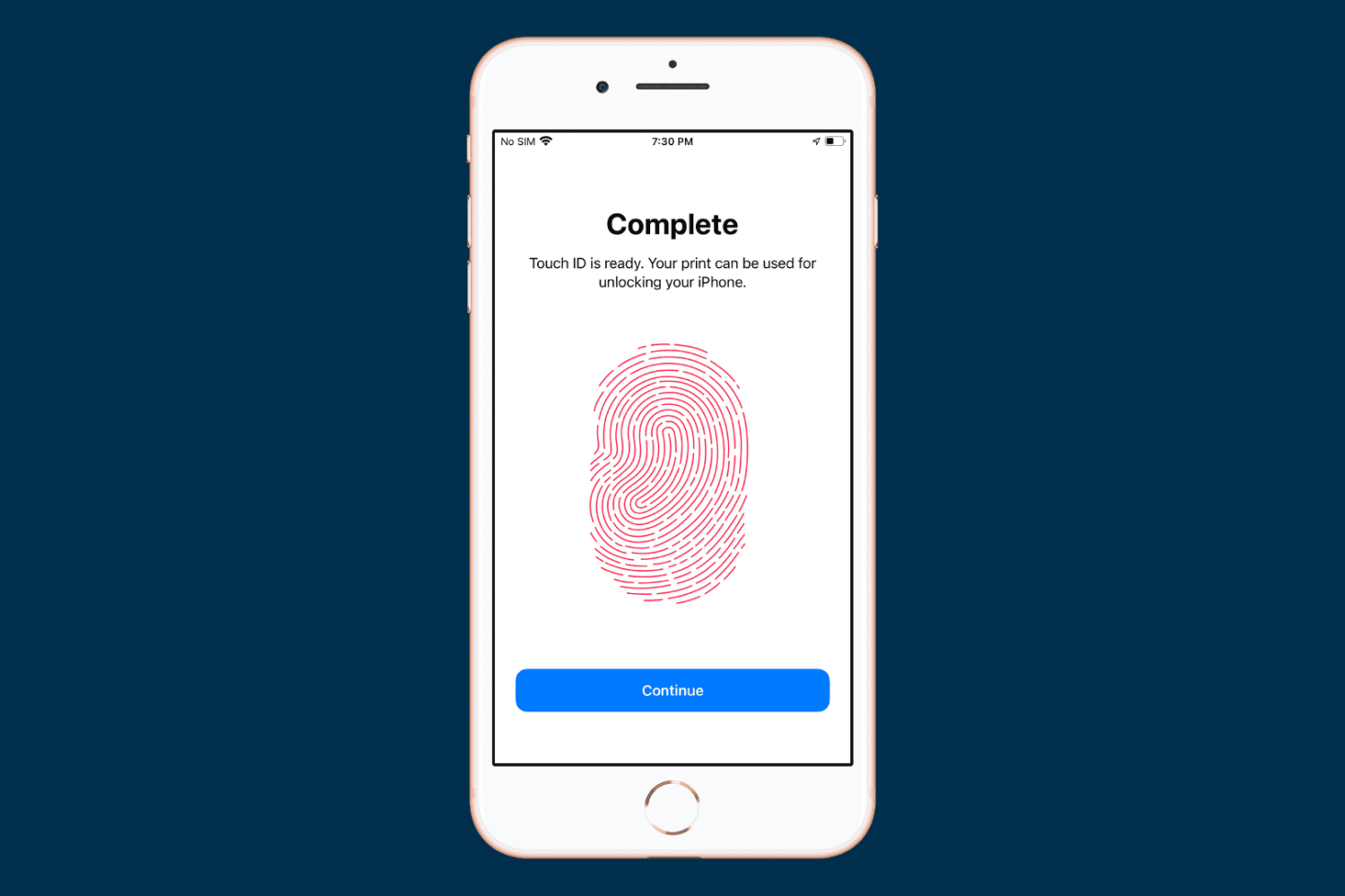 Touch ID is ready to use screen on iPhone
