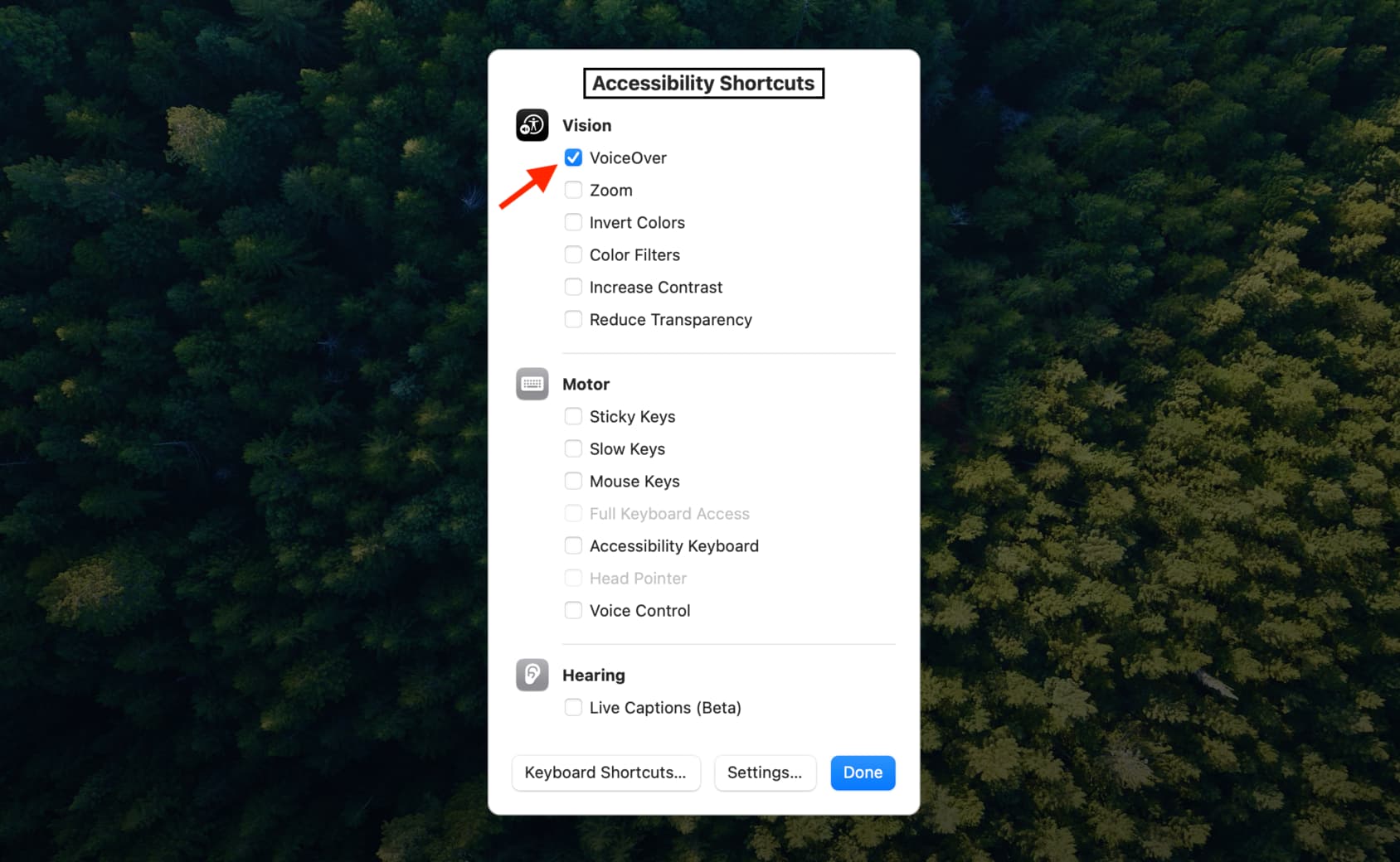 Use Accessibility Options to turn on VoiceOver on Mac