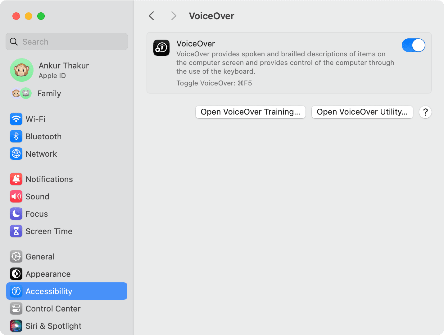 VoiceOver turned on in Mac System Settings