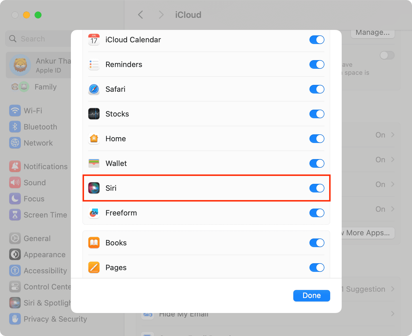 Allow Siri access for iCloud on Mac