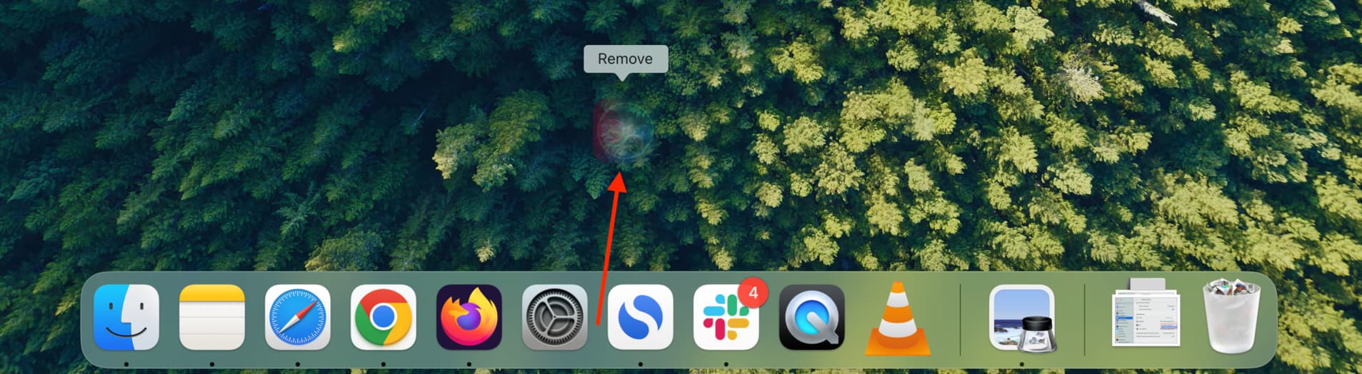 Remove Siri from Mac Dock