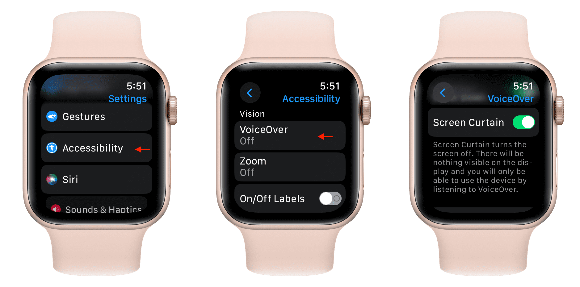 Screen Curtain in VoiceOver settings on Apple Watch