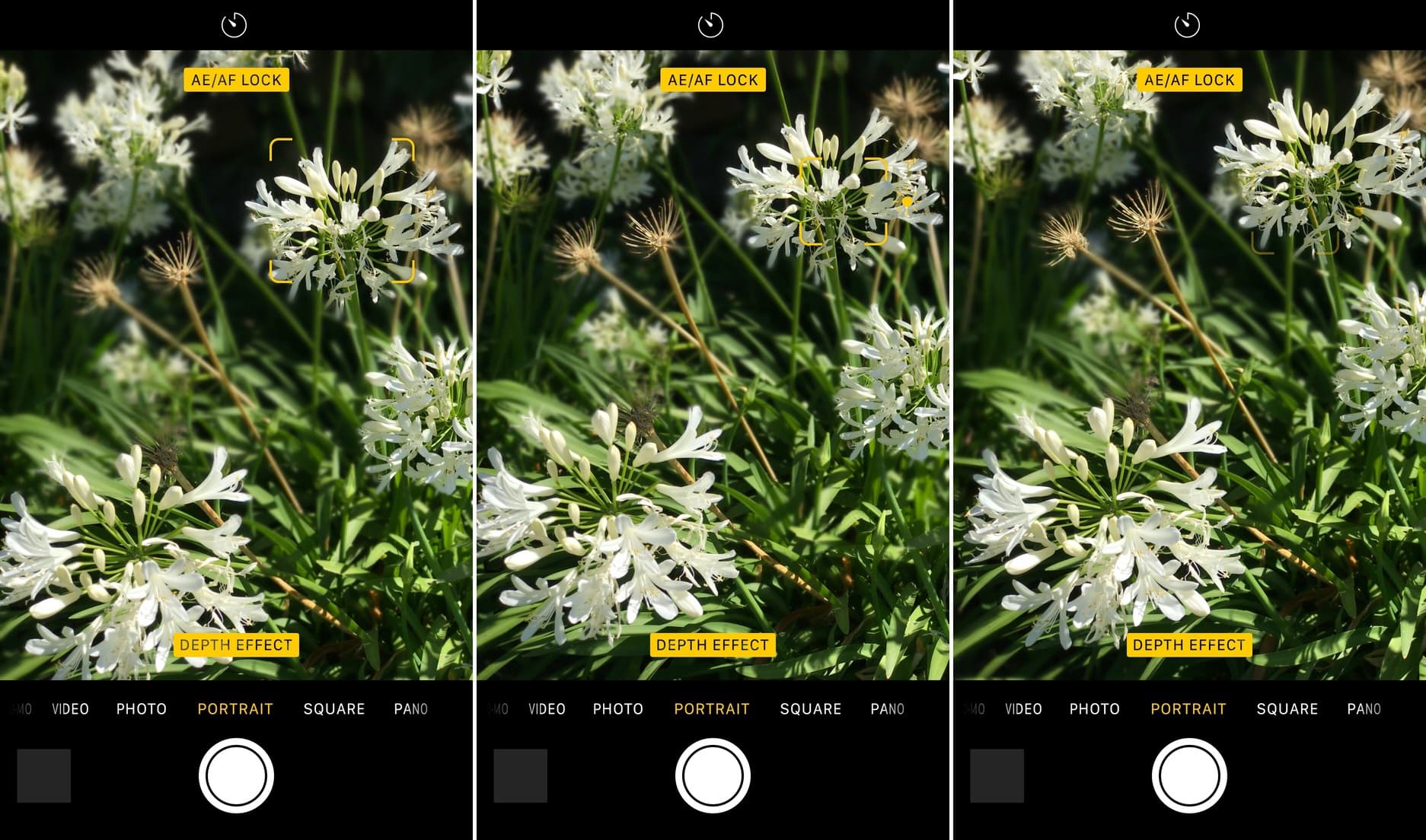 Auto Exposure or Auto Focus Lock in Portrait mode on iPhone