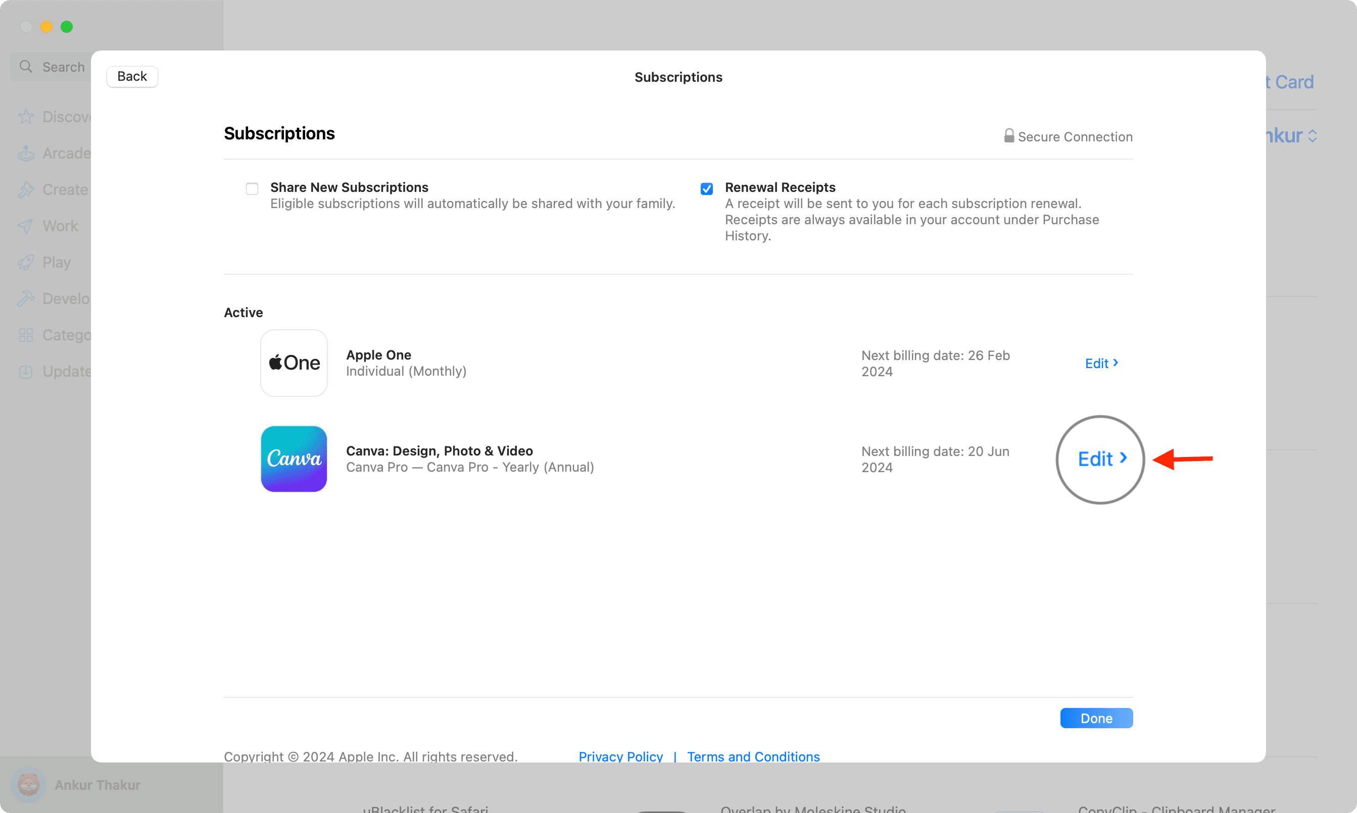 Click Edit next to a subscription in App Store on Mac