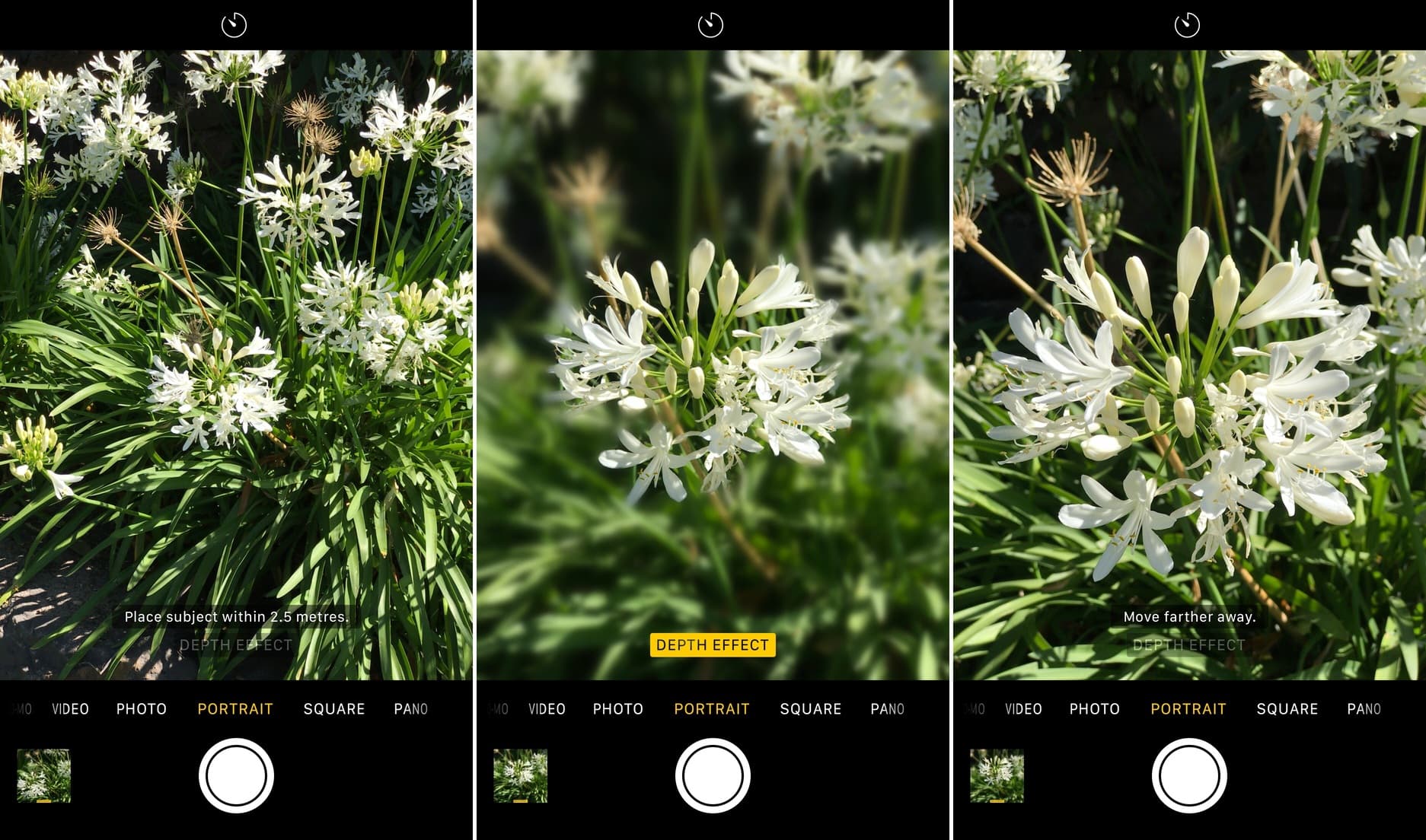 Follow the on-screen distance indicators when taking portrait mode photos on iPhone