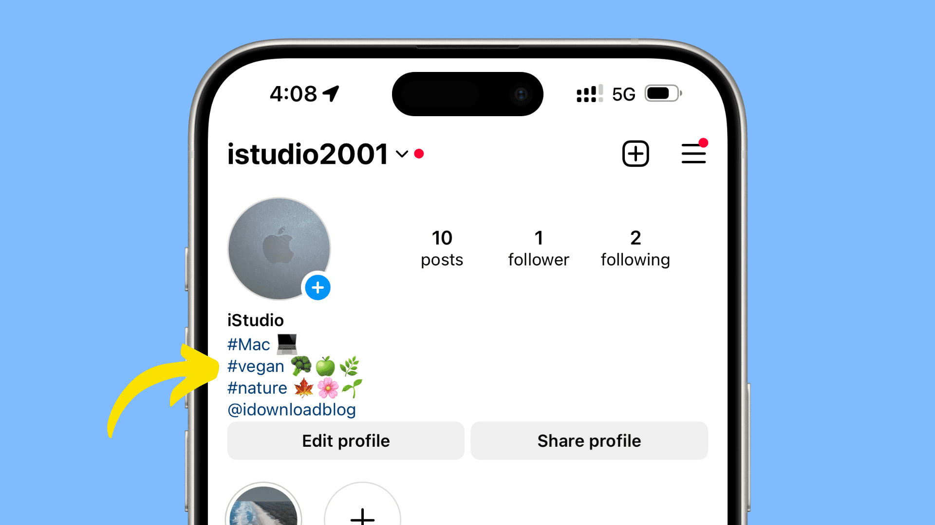 Instagram profile bio with hashtags and account link