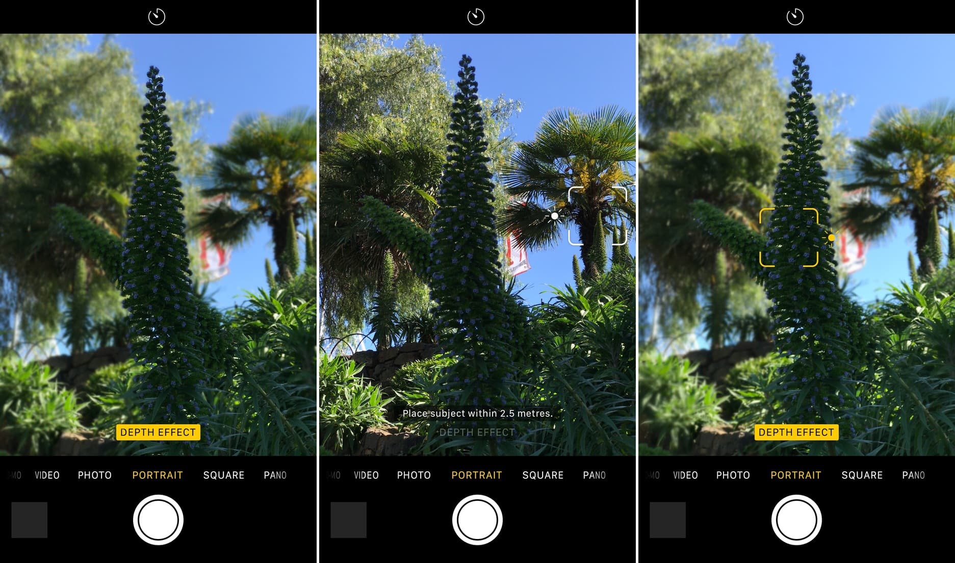 Manually tap for depth effect during portrait photo on iPhone