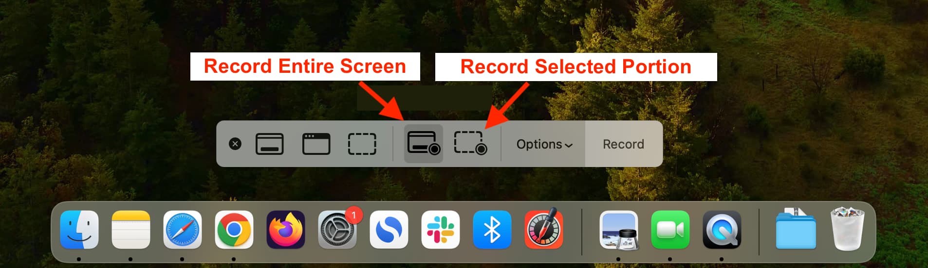 Record Entire Screen or selected portion of your Mac screen