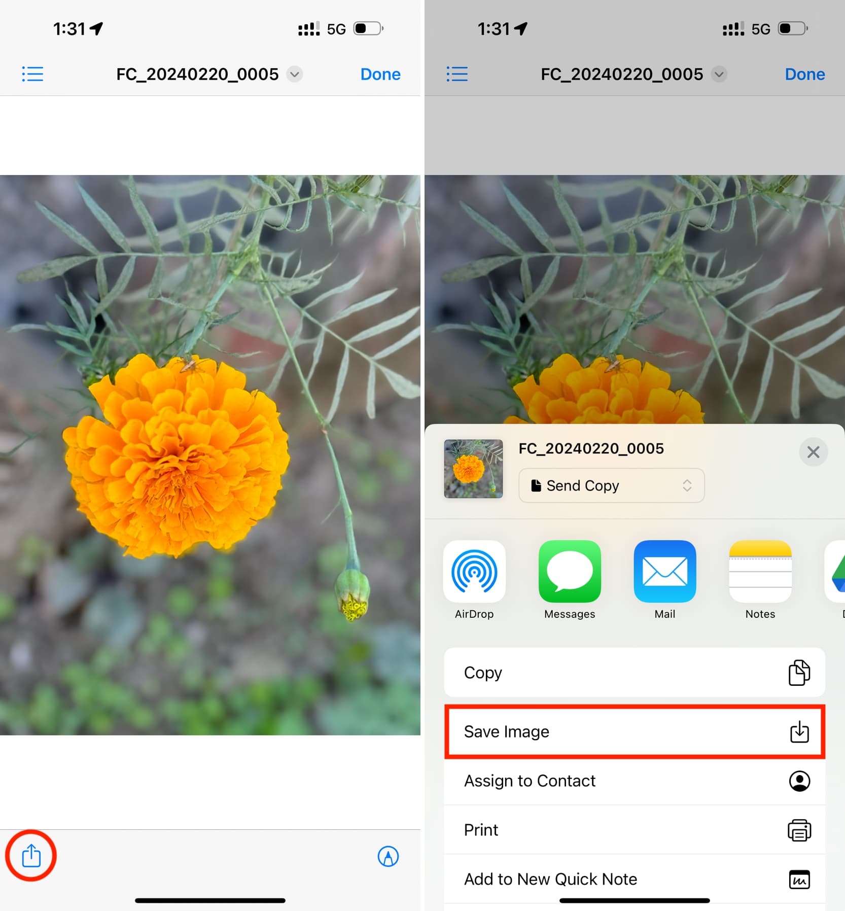 Save image from Files app to iOS Photos app