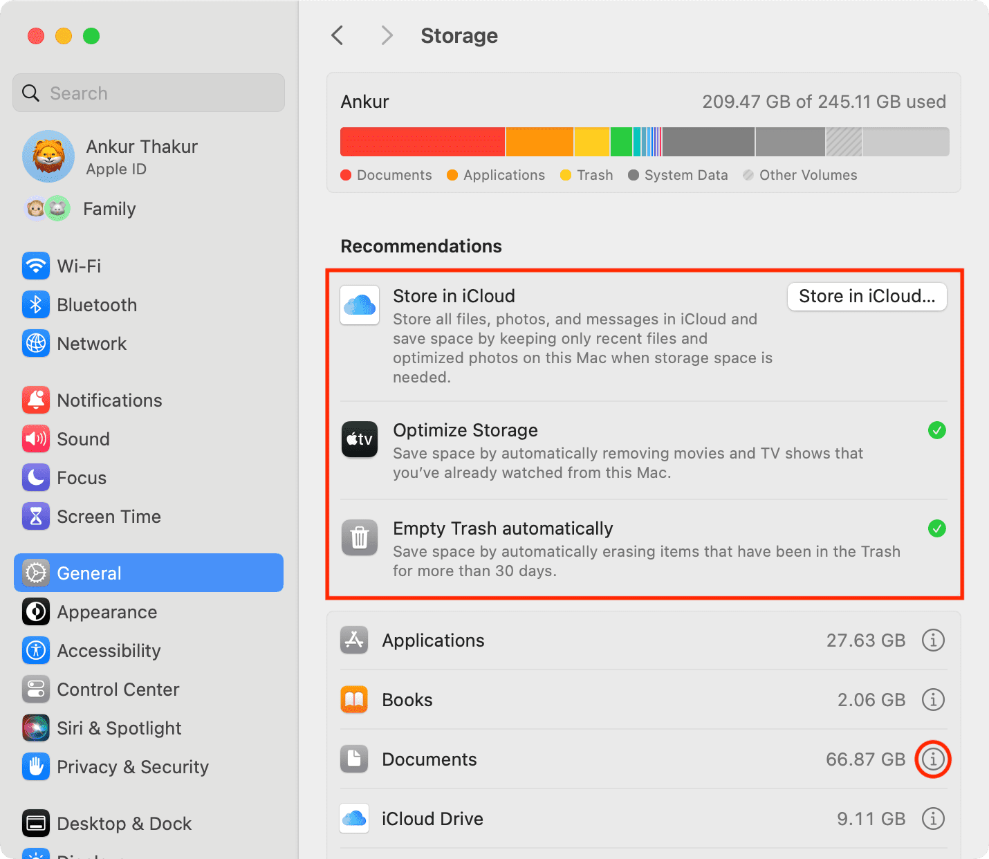 Storage recommendations turned on in Mac settings