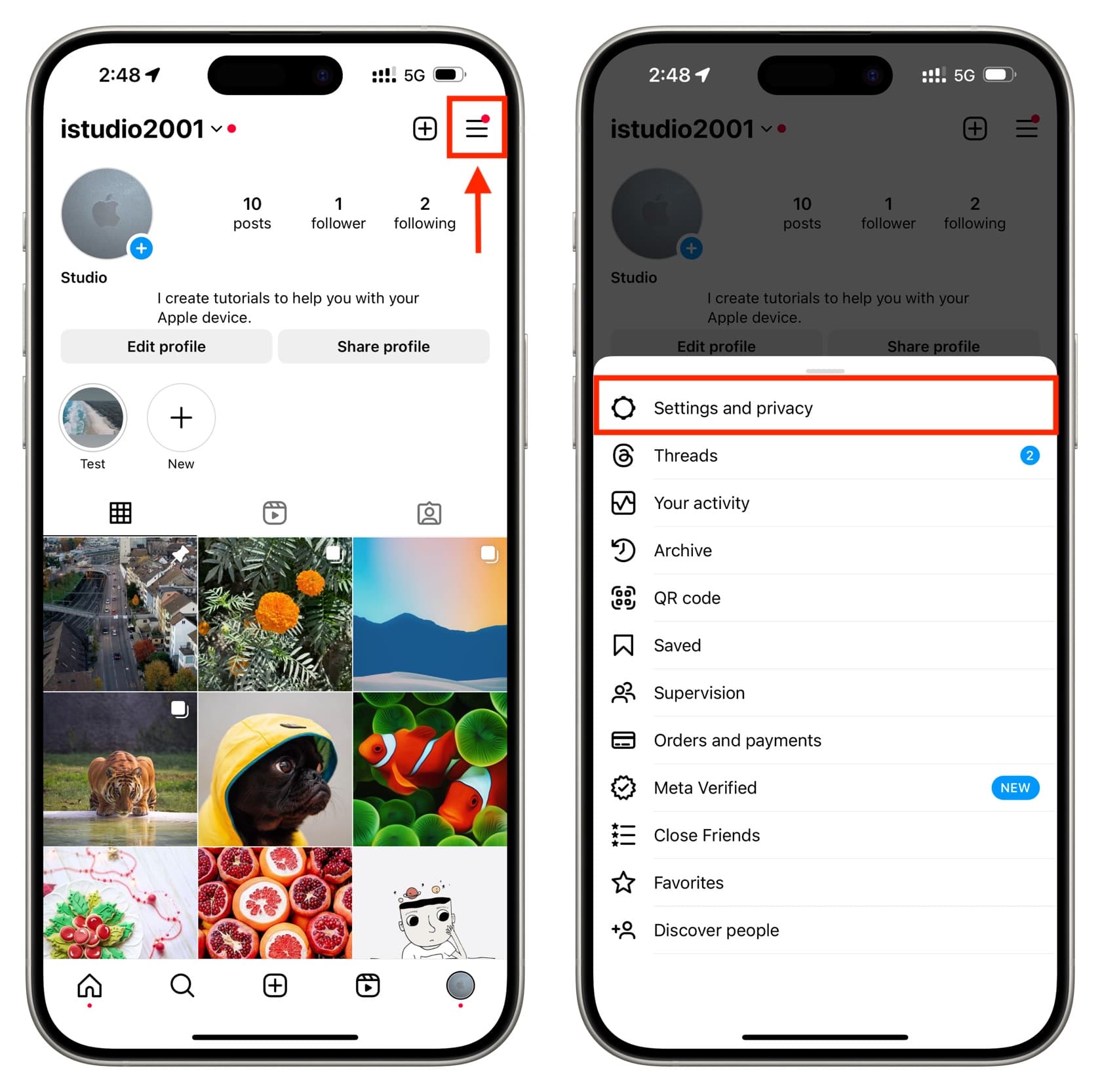 Tap menu icon on Instagram profile and then tap Settings and privacy