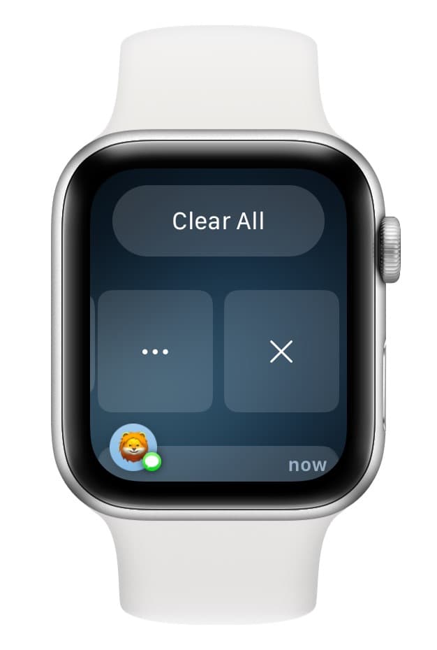 Clear alerts from Notification Center on Apple Watch