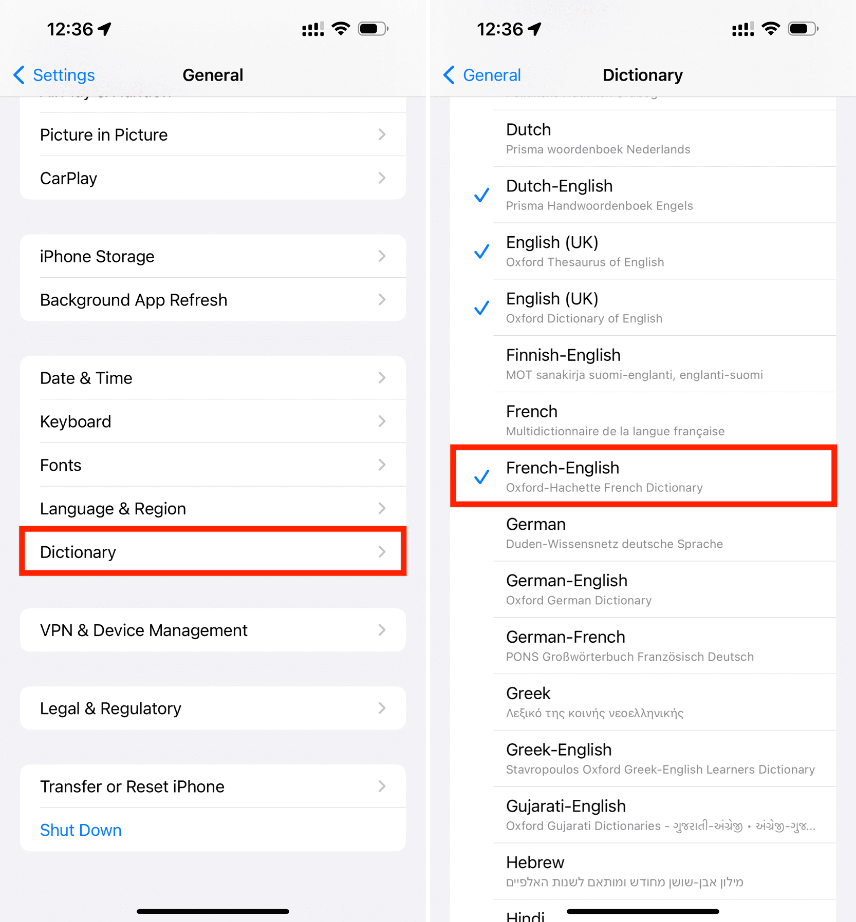 Downloading dictionary for translate in Look Up in iPhone settings